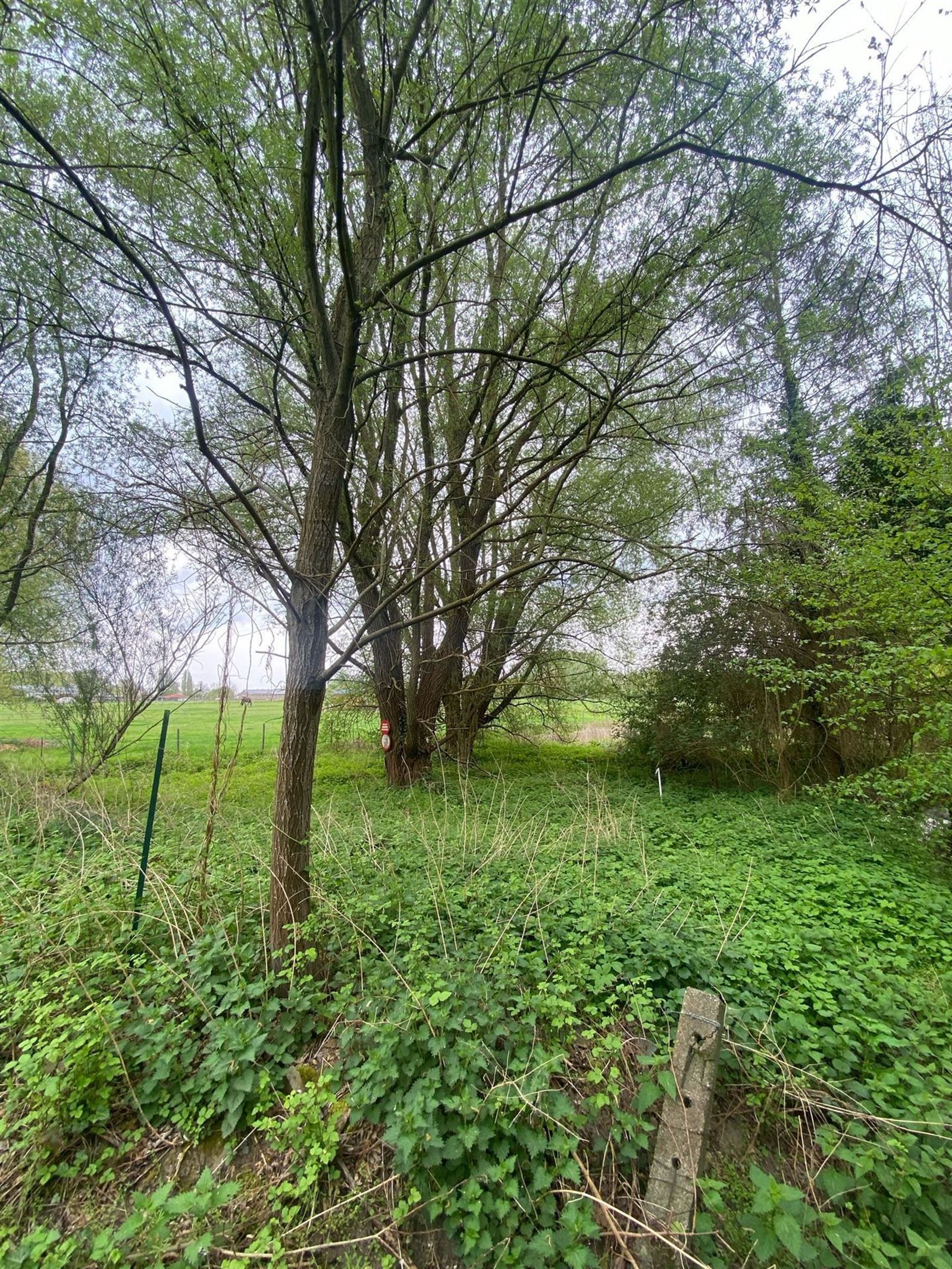 Natuurgebied in Asse foto 5