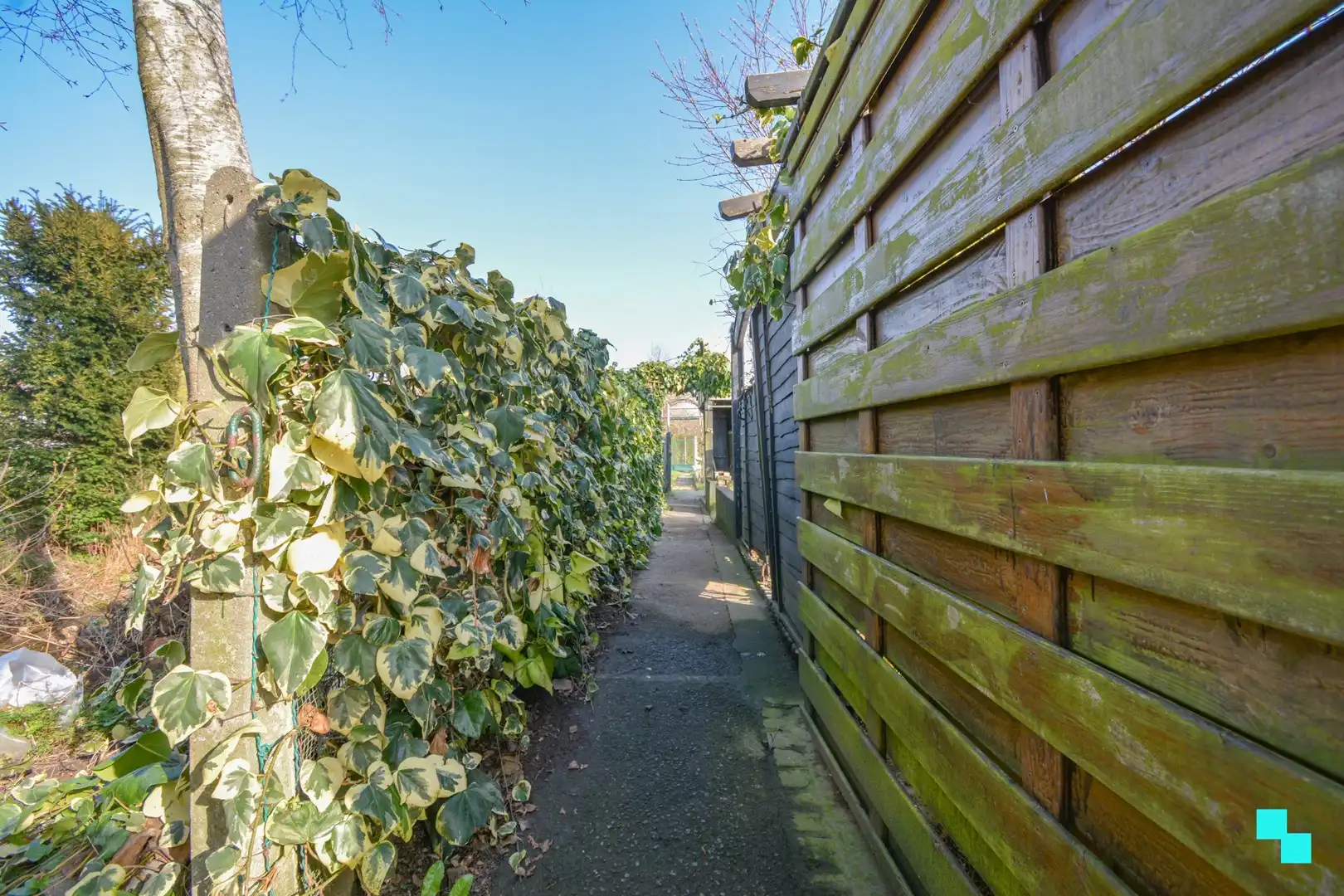 Gelijkvloerse woning met veel potentieel te Hooglede foto 25
