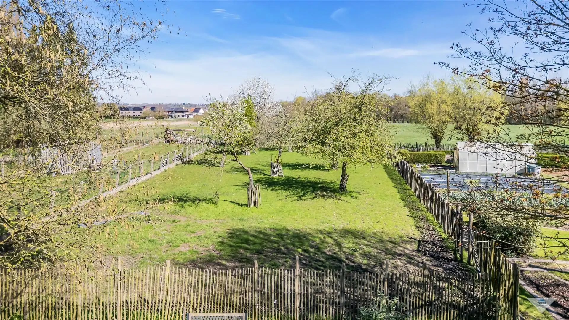 Charmante hoeve met enorm potentieel in Bierbeek foto 5