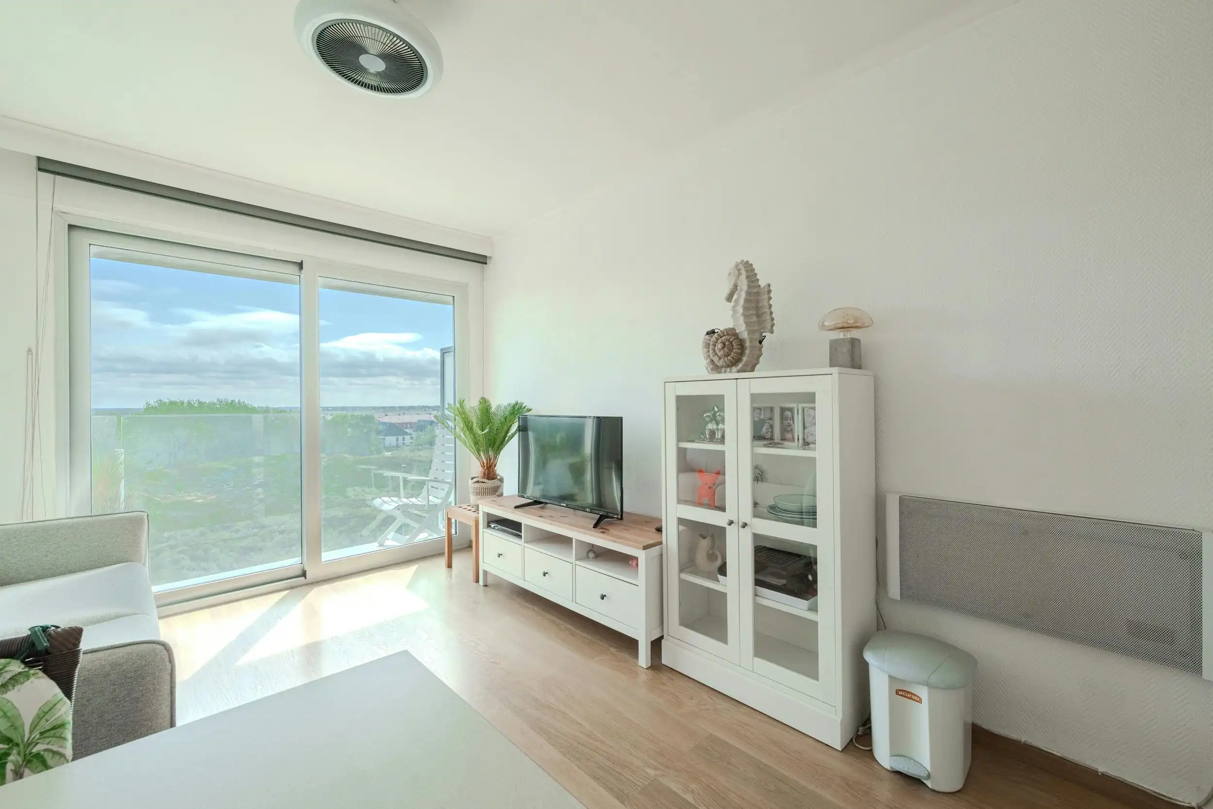 Zonnige studio met terras en magnifiek zicht op de duinen foto 7