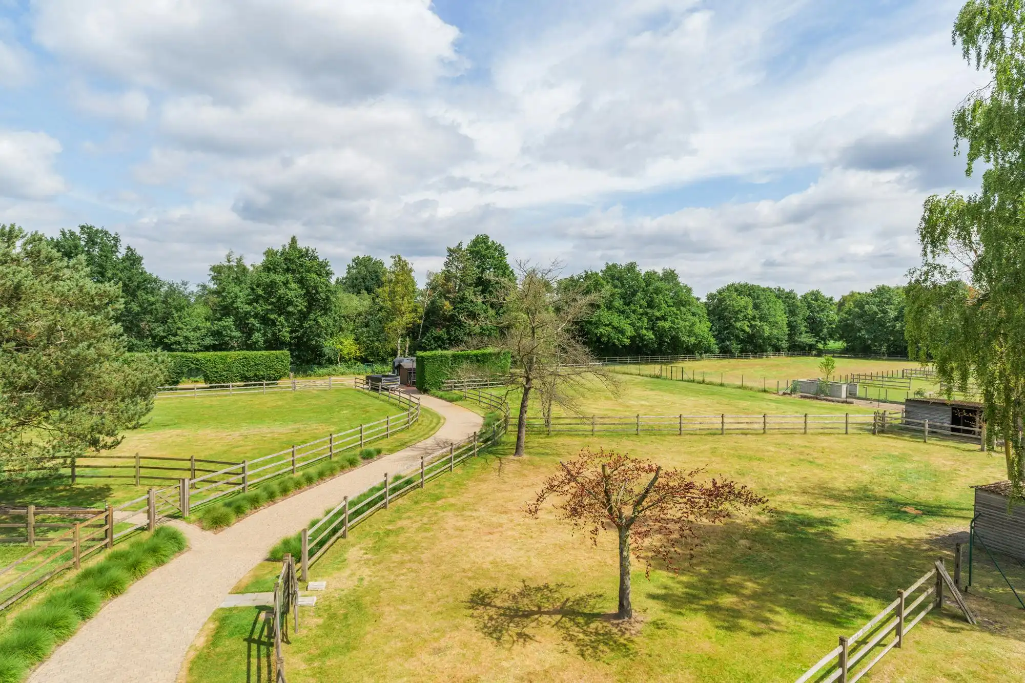 Villa met praktijkruimte en weilanden te koop in Geel foto 4