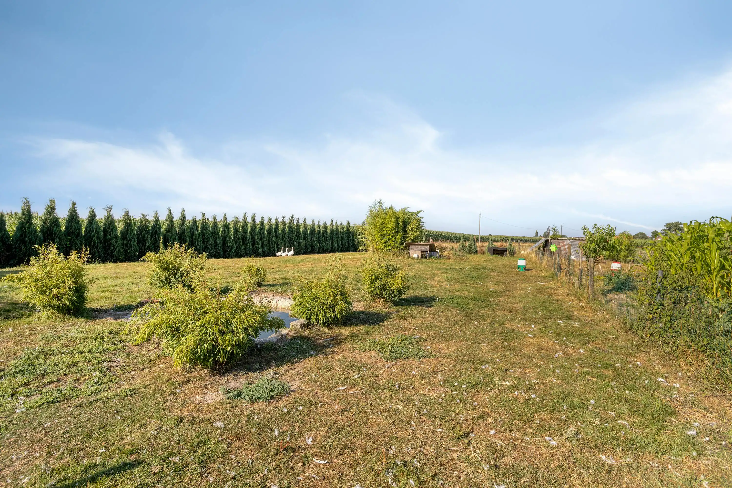 Landgebouw te koop, wonen niet mogelijk!  foto 4