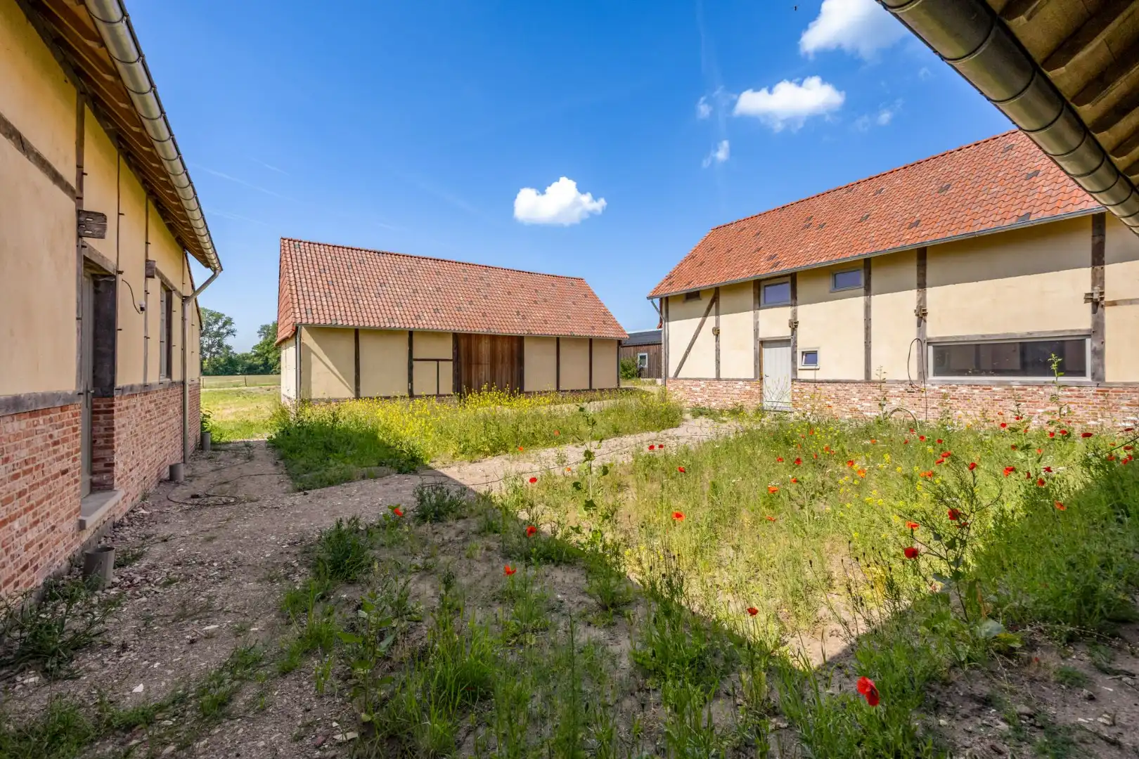 UNIEKE VIERKANTSHOEVE met paardenstallen op 7,34 hectare met vergunning voor zwembad en poolhouse foto 19