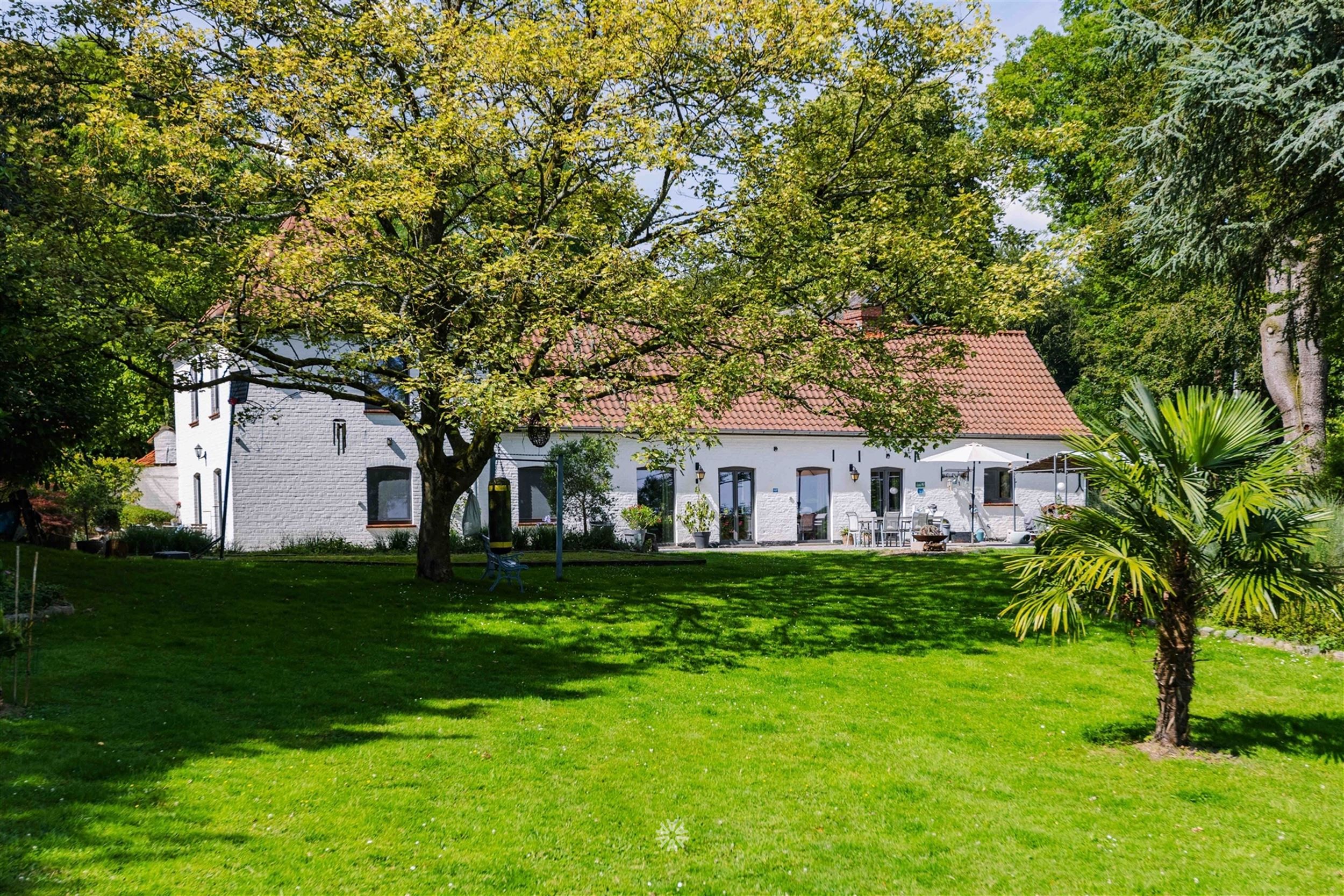 Uniek gelegen landgoed met gite midden de bossen foto 2