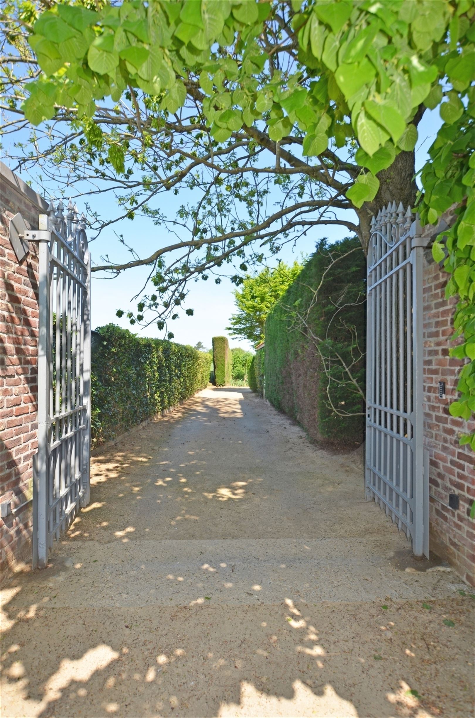 Volledig gerenoveerd landhuis op 1,44 ha tussen de velden foto 33