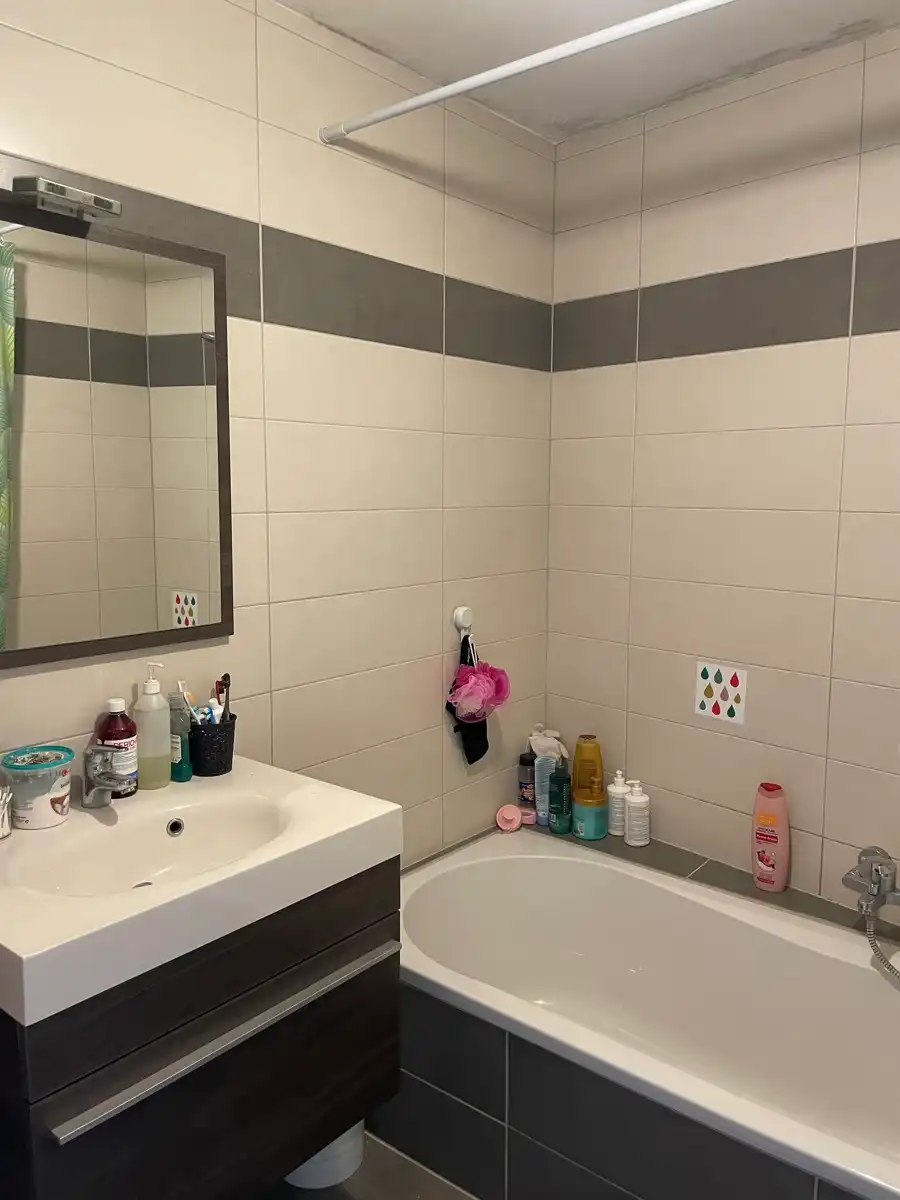 Charmant duplexappartement te huur op toplocatie in Wetteren. foto 8