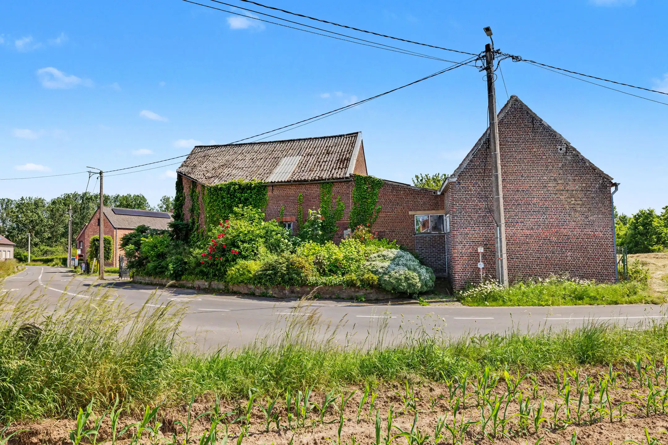 hoeve met loods en bijgebouw op +/-79a foto 2