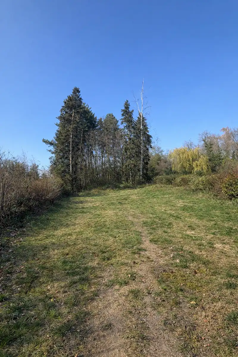 Ruim gelijkvloers appartement (geen 21% btw) foto 4