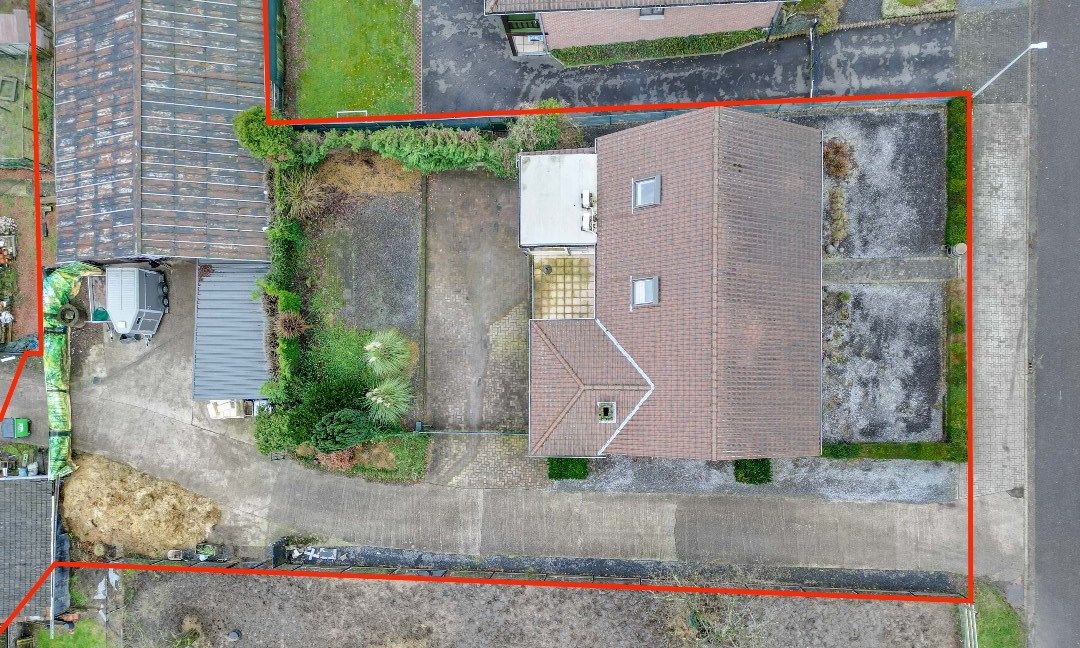 GEZINSWONING MET EEN BEWOONBARE OPP. VAN 310 M² + LOODS TE GELLIK !  foto 4