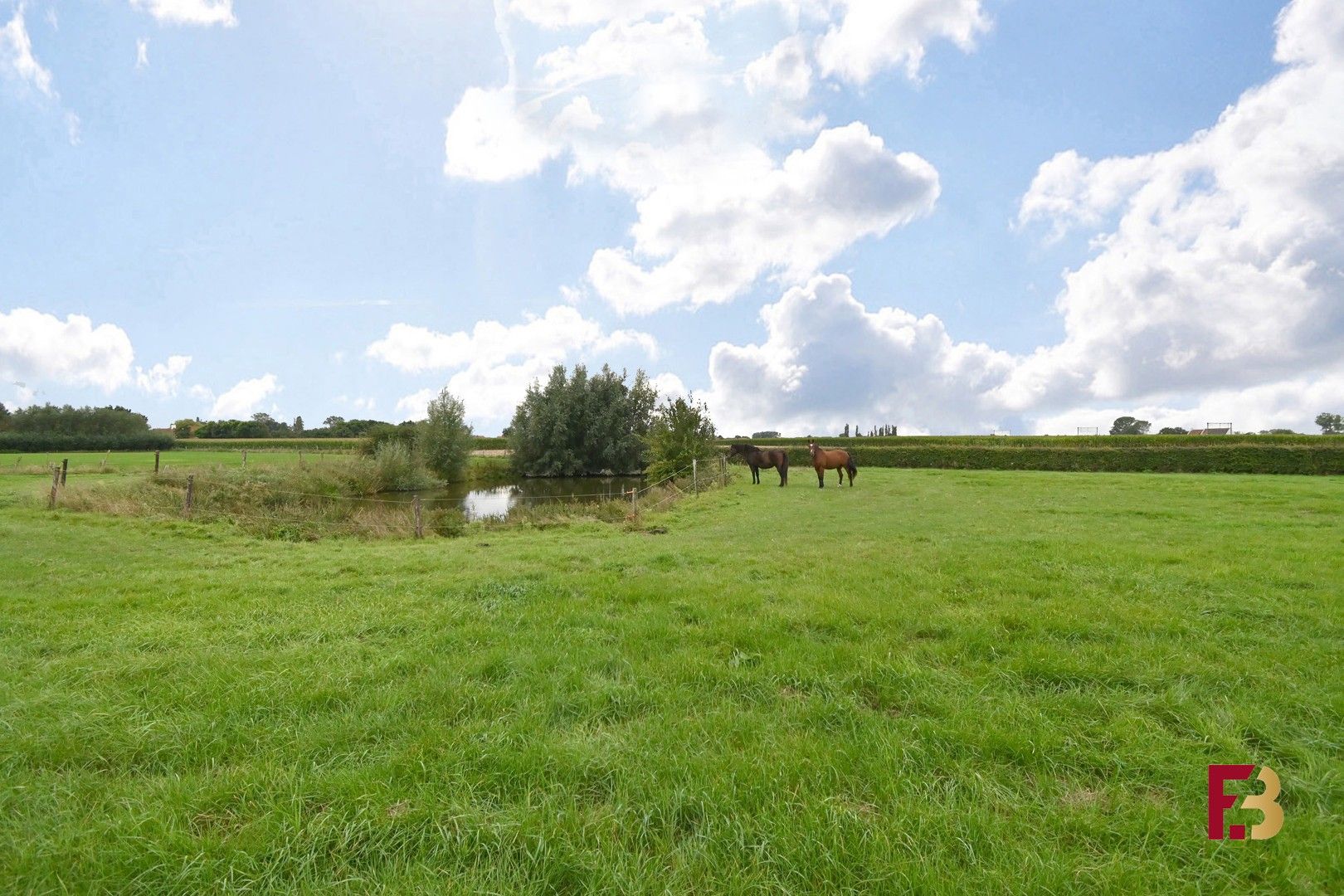 Paardenaccomodatie met kangoeroewoning of woning met kantoor op ca. 4,5ha te Lichtervelde foto 23