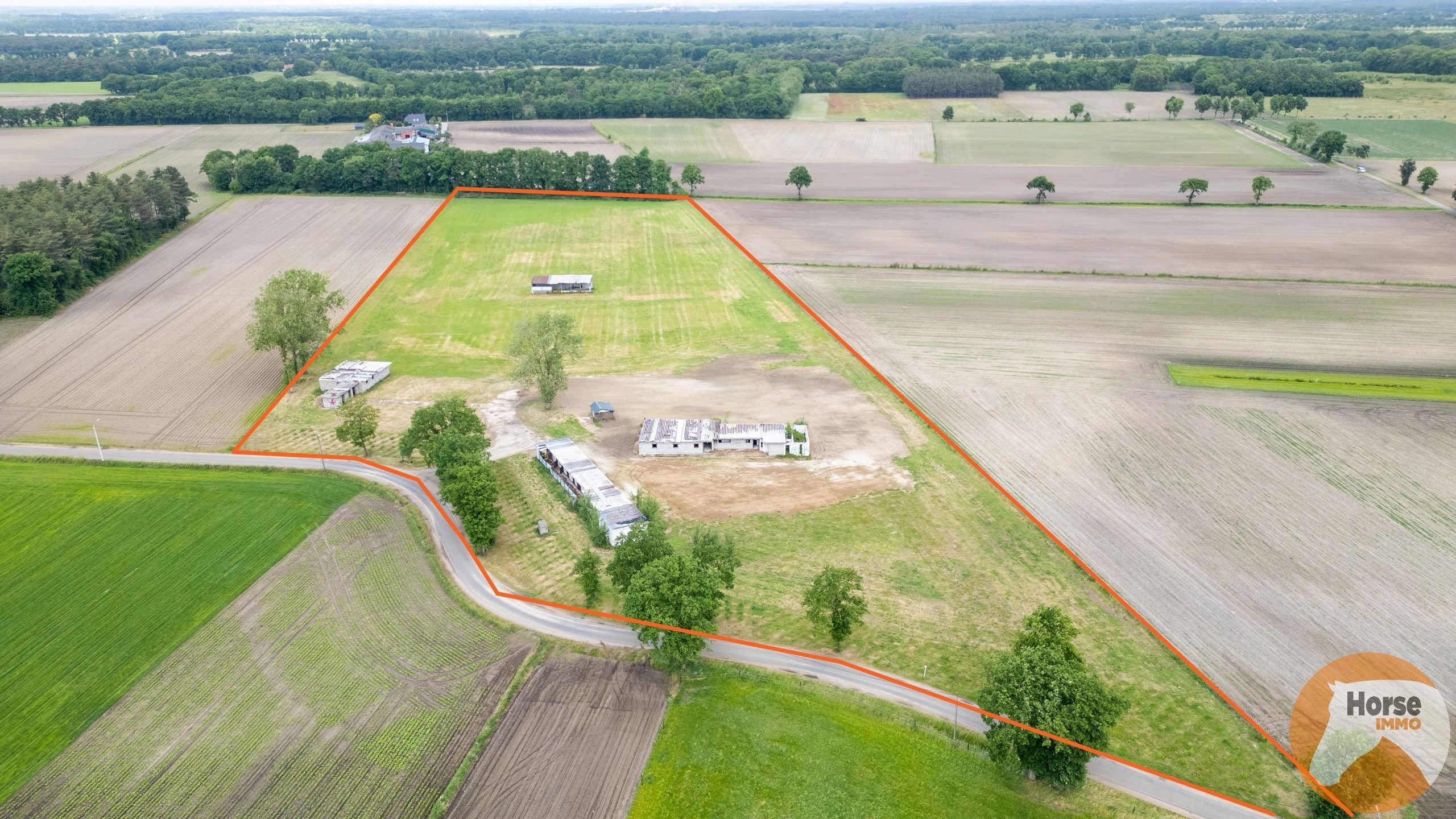 BOCHOLT - Weide met stalgebouwen op +/- 4ha35a foto 3