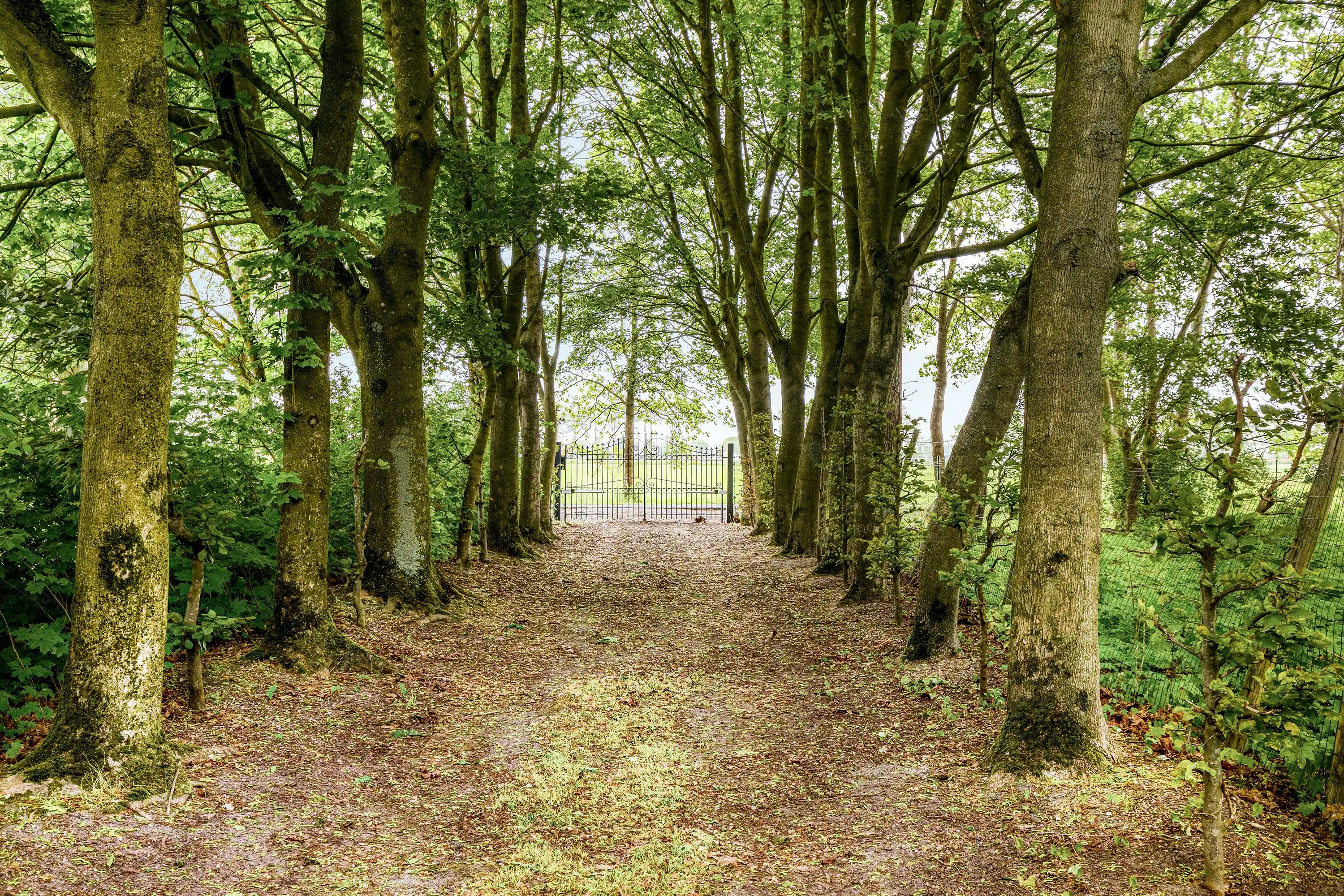 Uitzonderlijk gelegen huis (14.953m²) langs Haantjesveld te Maldegem foto 6