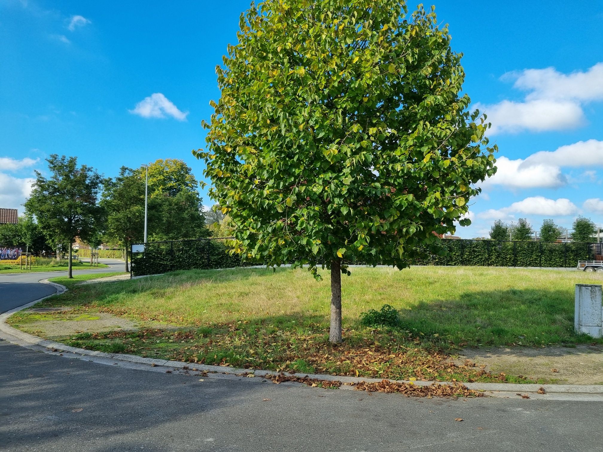 Prachtige bouwgrond (OB) op 5a79ca te Schulen foto 5