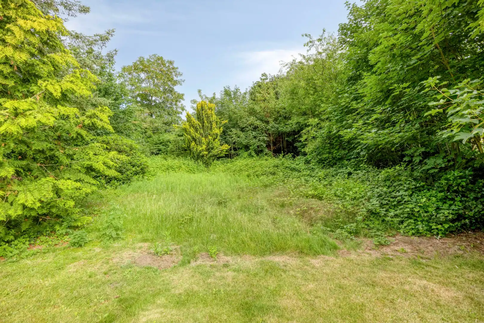 Gelijkvloerse woning met 3 slpks op een uniek perceel van 2.164 m² nabij de Markt !  foto 23