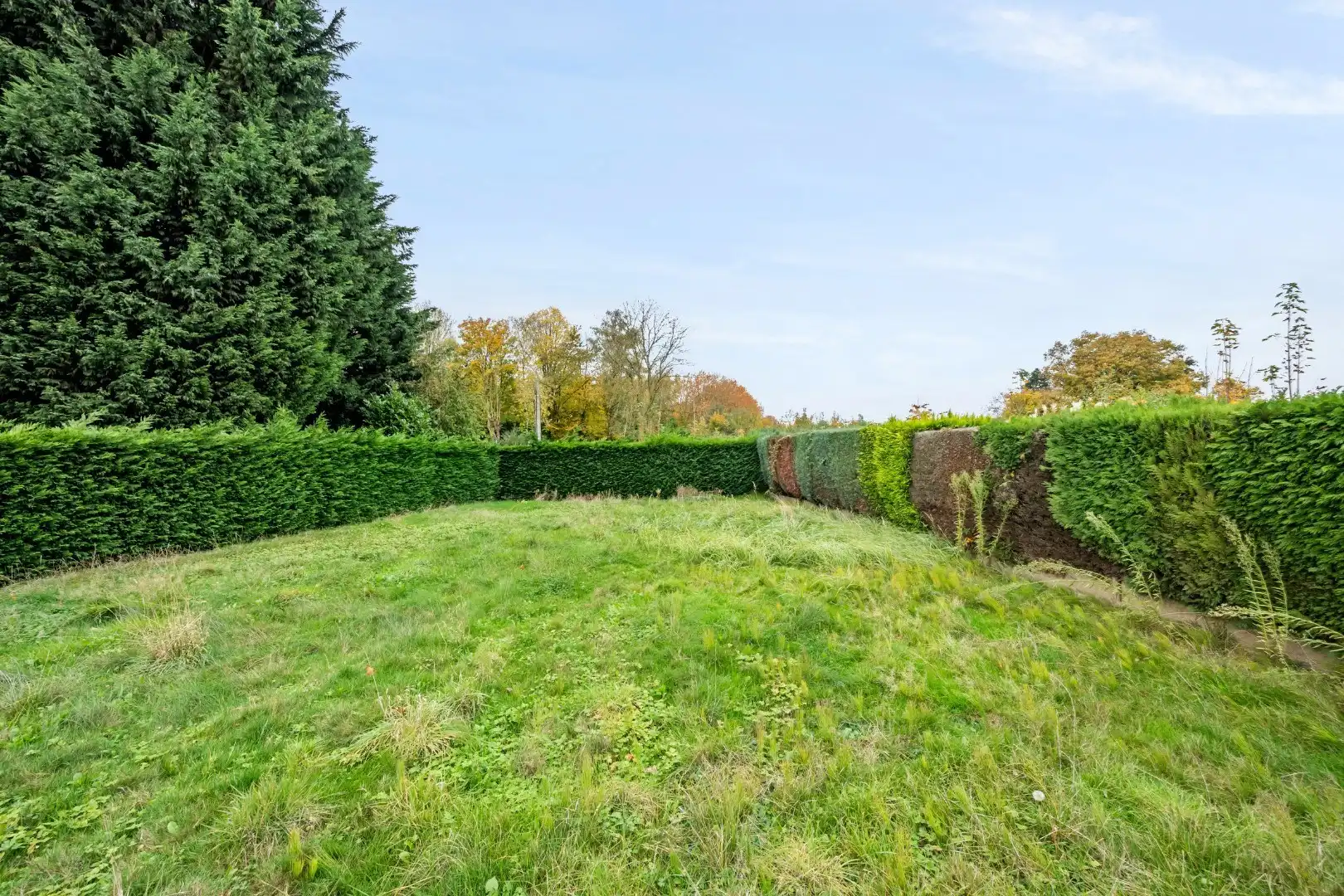 Te renoveren hoeve met prachtig landelijk verzicht in de Kapelhoek in Roeselare foto 10