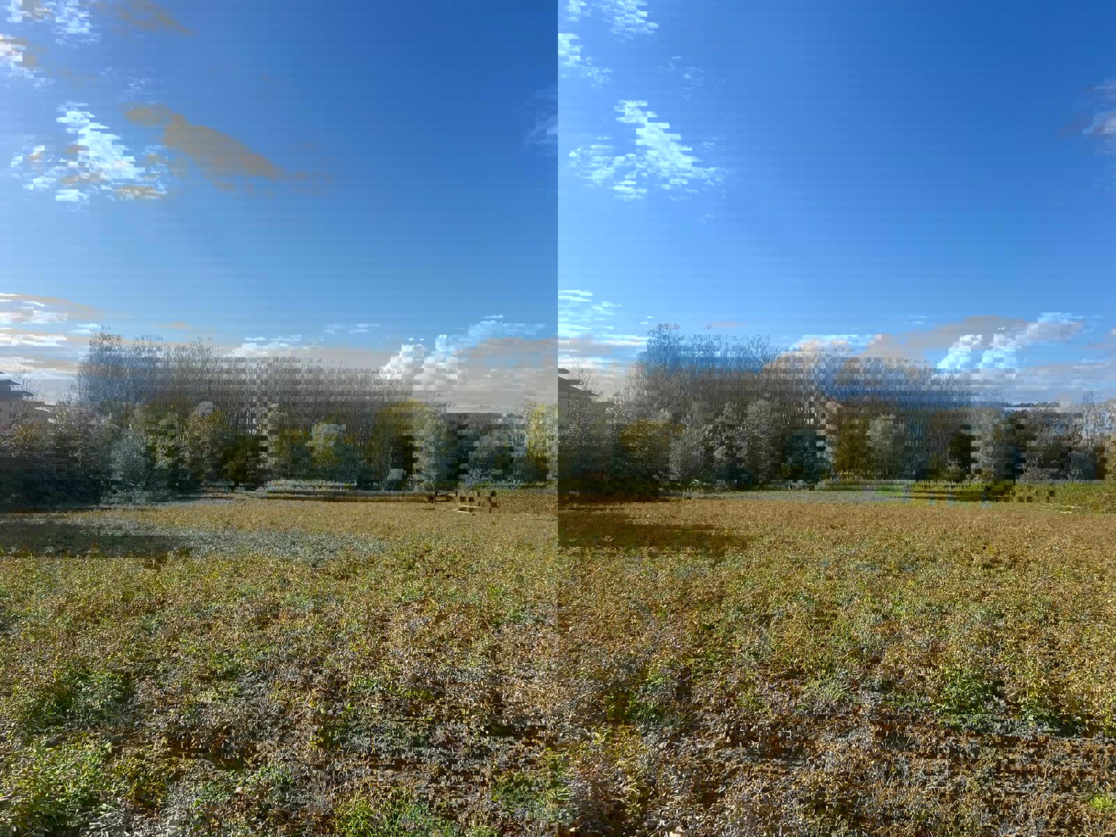 Villaperceel foto 2