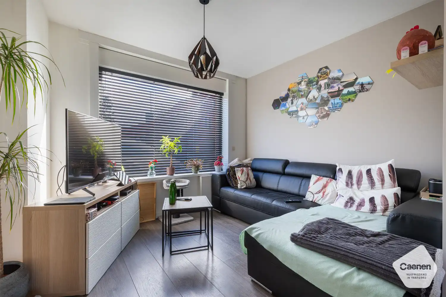 Instapklare half-open woning in het rustige en groene dorp Hertsberge met 3 slaapkamers , carport en zonnige tuin! foto 2
