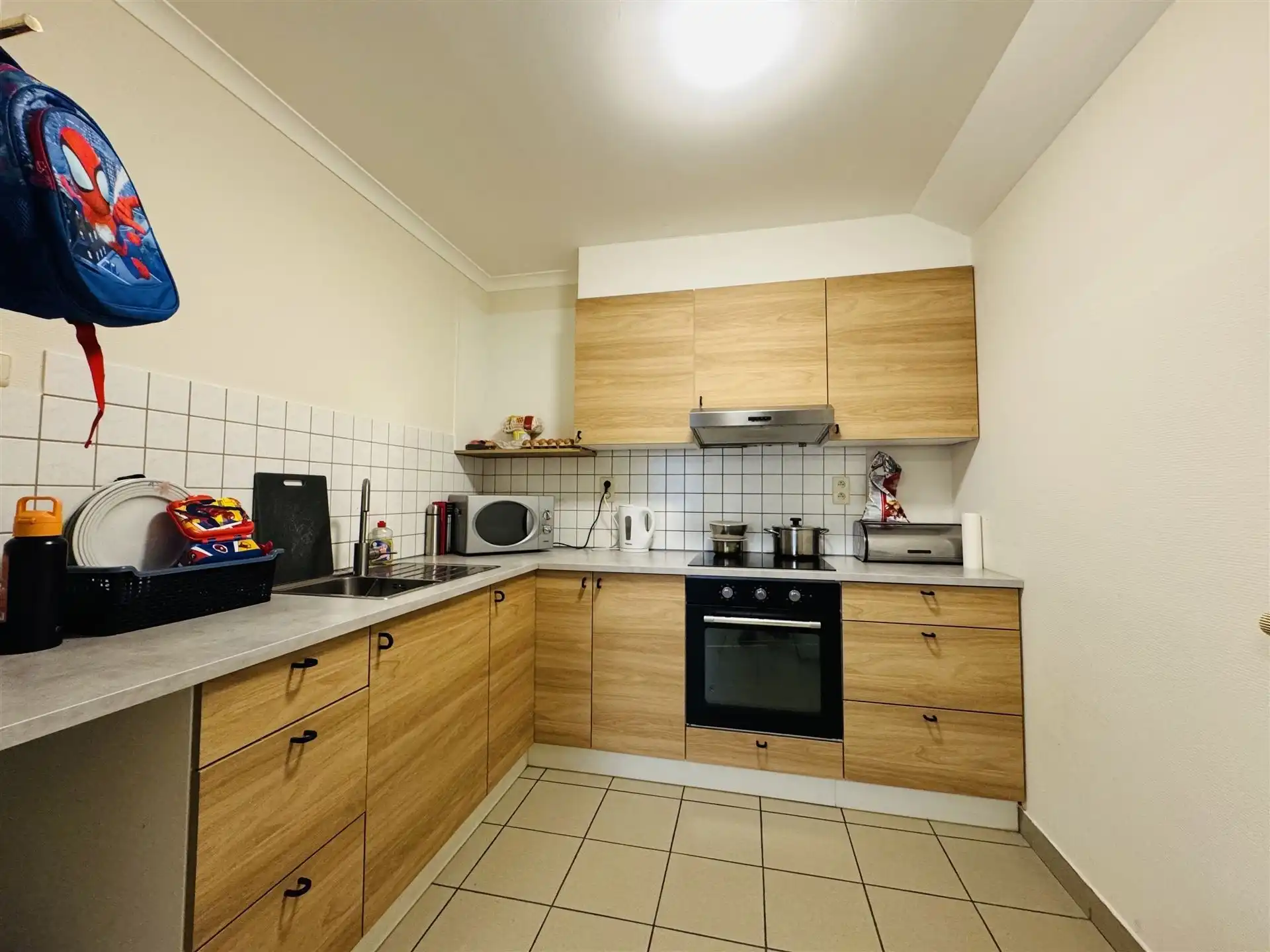 Hoeve met paardenaccomodatie. foto 36