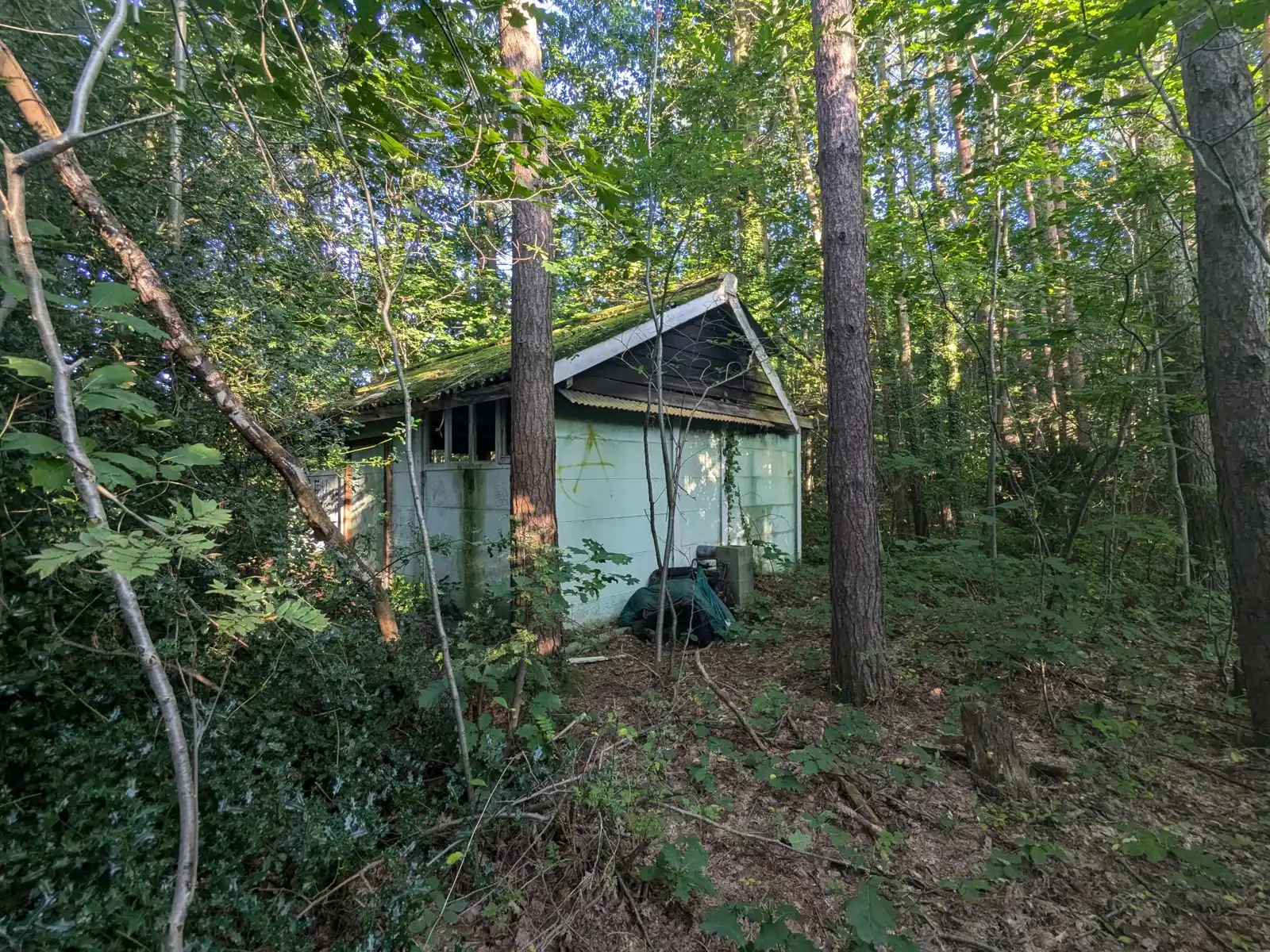 Natuurgebied in residentiële wijk met vakantiewoning foto 7