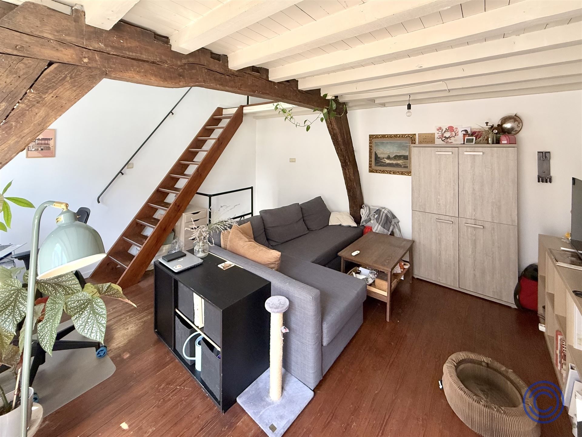 Gezellig triplex appartement in hartje Antwerpen! foto 7