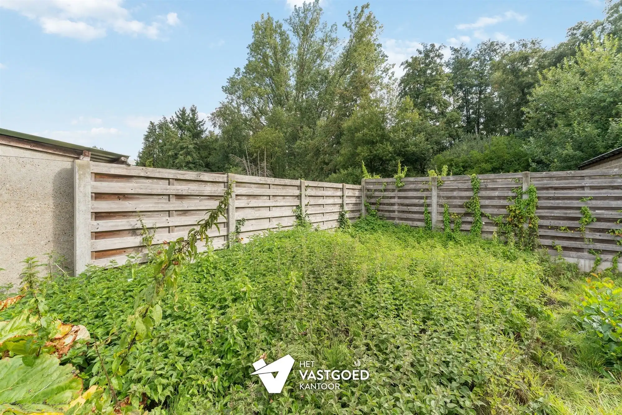TE RENOVEREN RIJWONING MET 4 SLAAPKAMERS TE BEVERLO foto 35