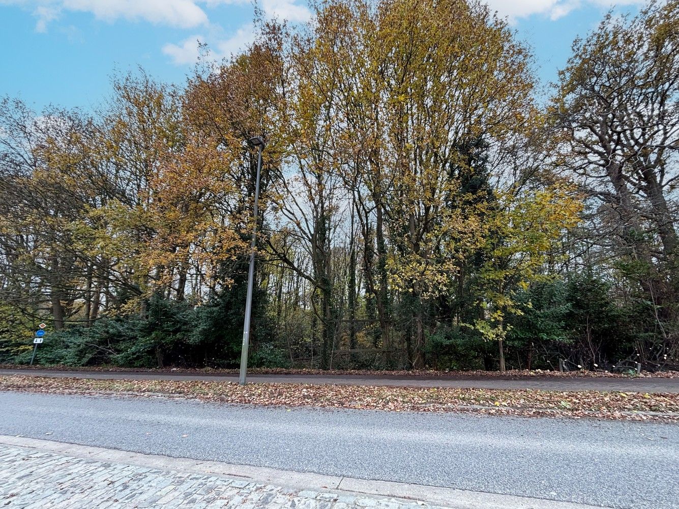 Gronden te koop in Boechout (parkgebied) foto 3