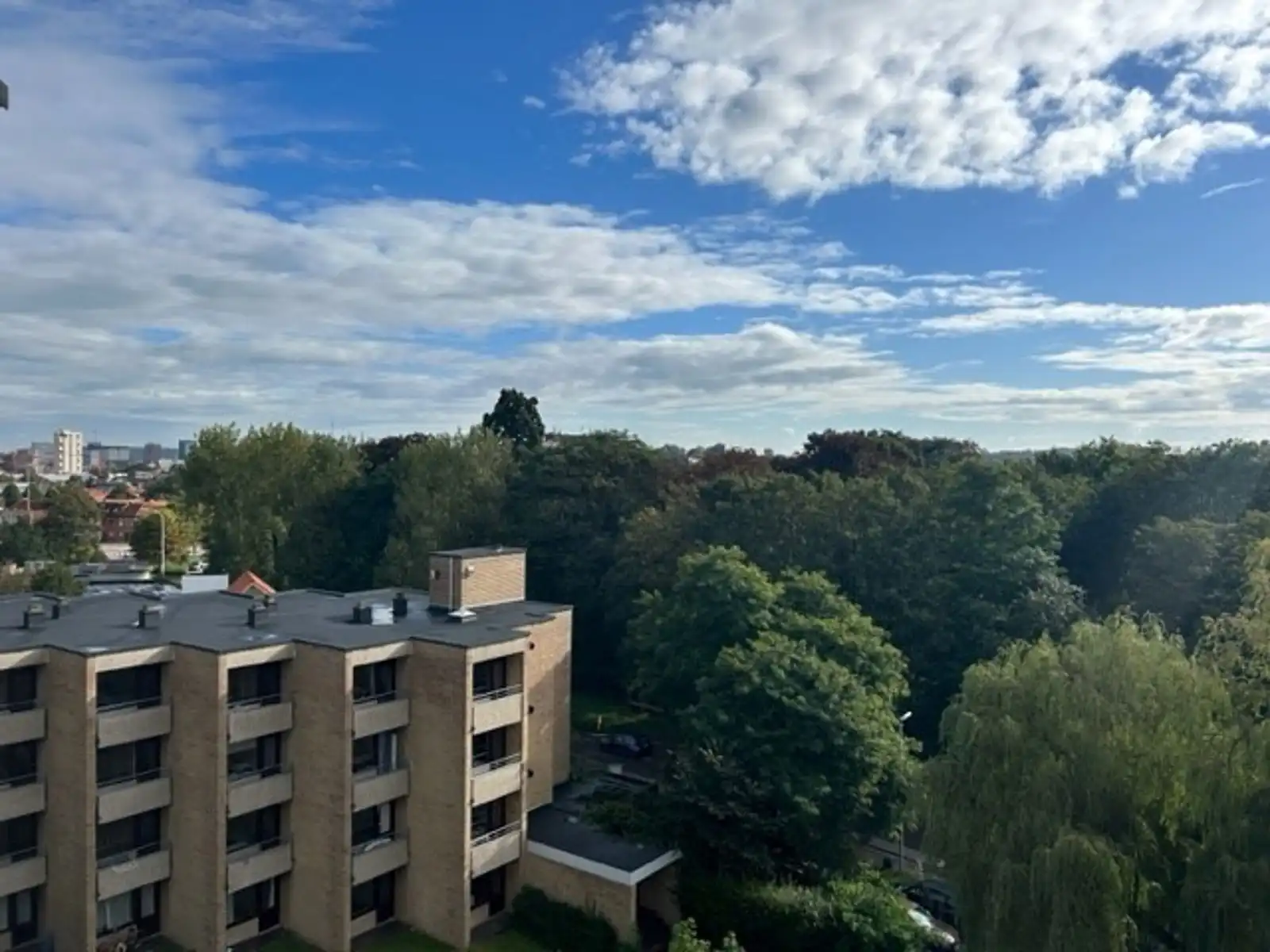 Eenvoudig maar revolutionair studeren foto 2