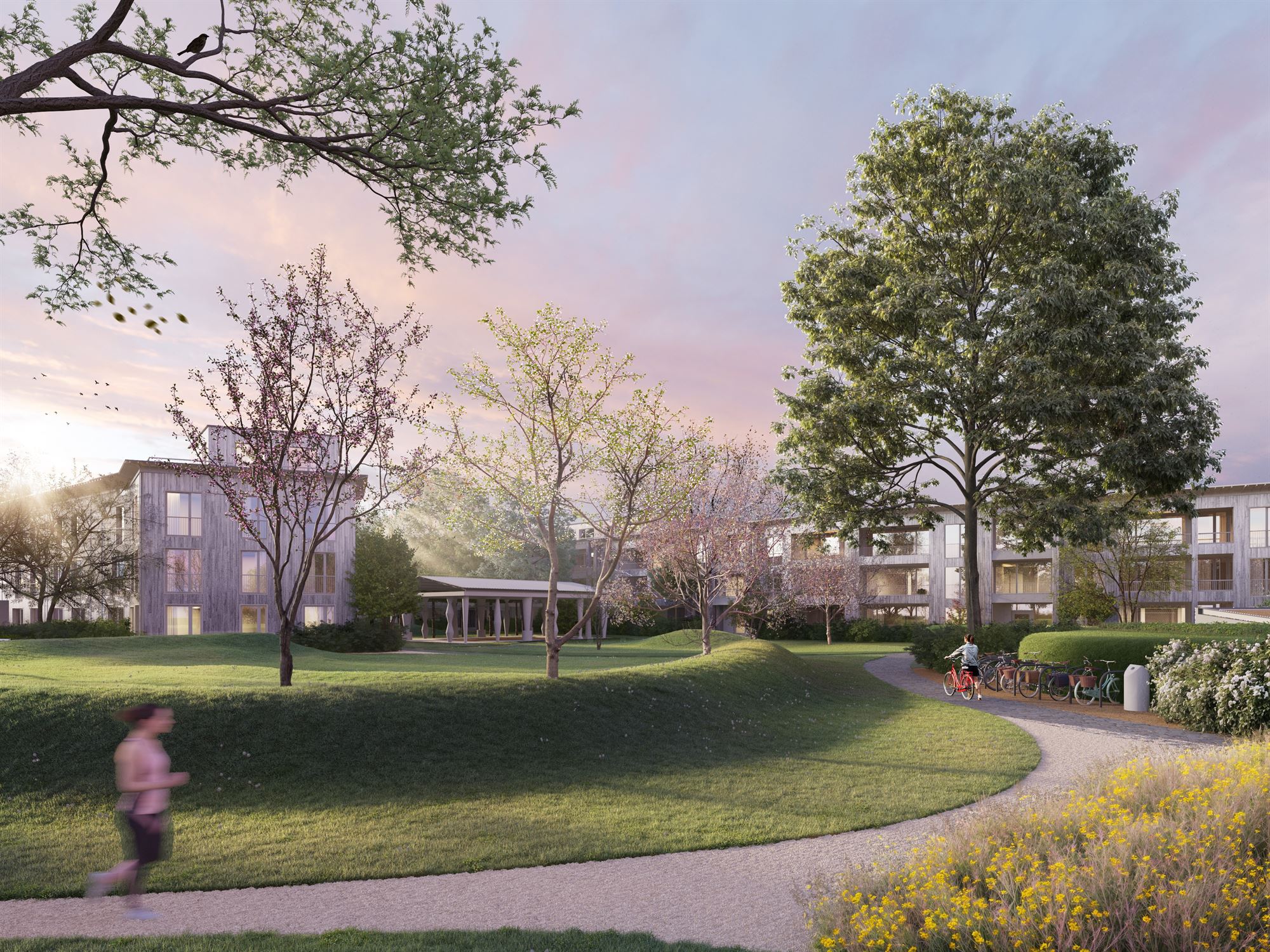 Project foto {{pictureIndex}}