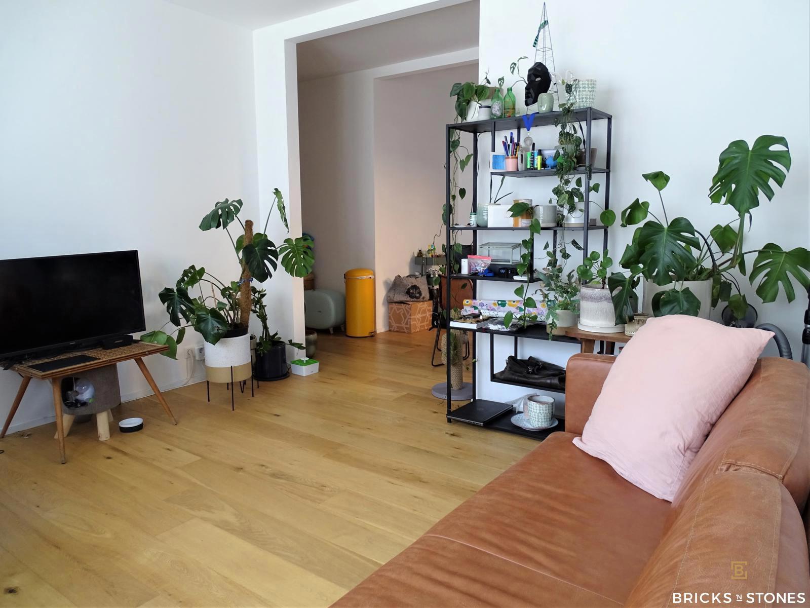 Gerenoveerd 1-slaapkamer appartement met terras nabij Nachtegalenpark foto 2