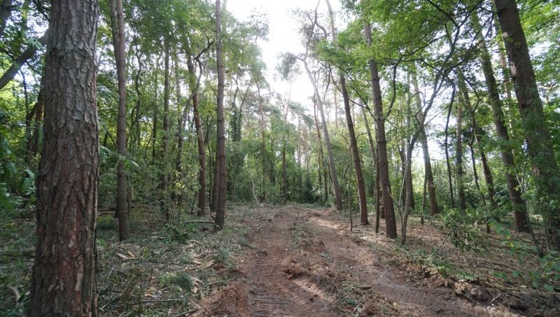 Residentieel gelegen bouwgrond van 31 are met 37 are bosgrond nabij golf- en meerdomein foto 5