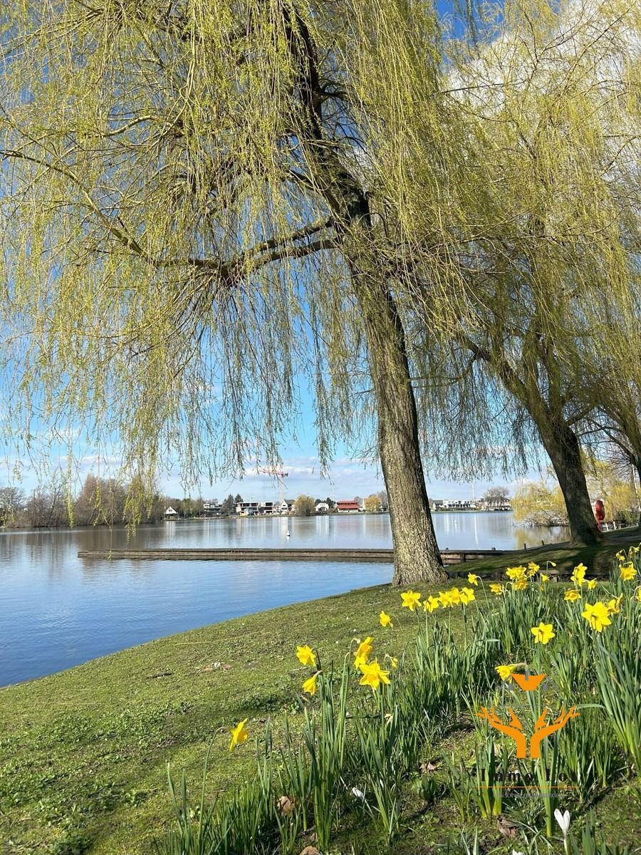 Bouwgrond van 200m² op wandelafstand van het Donkmeer foto 11
