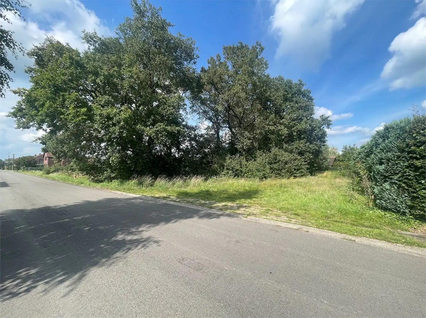 Grond te koop foto 6