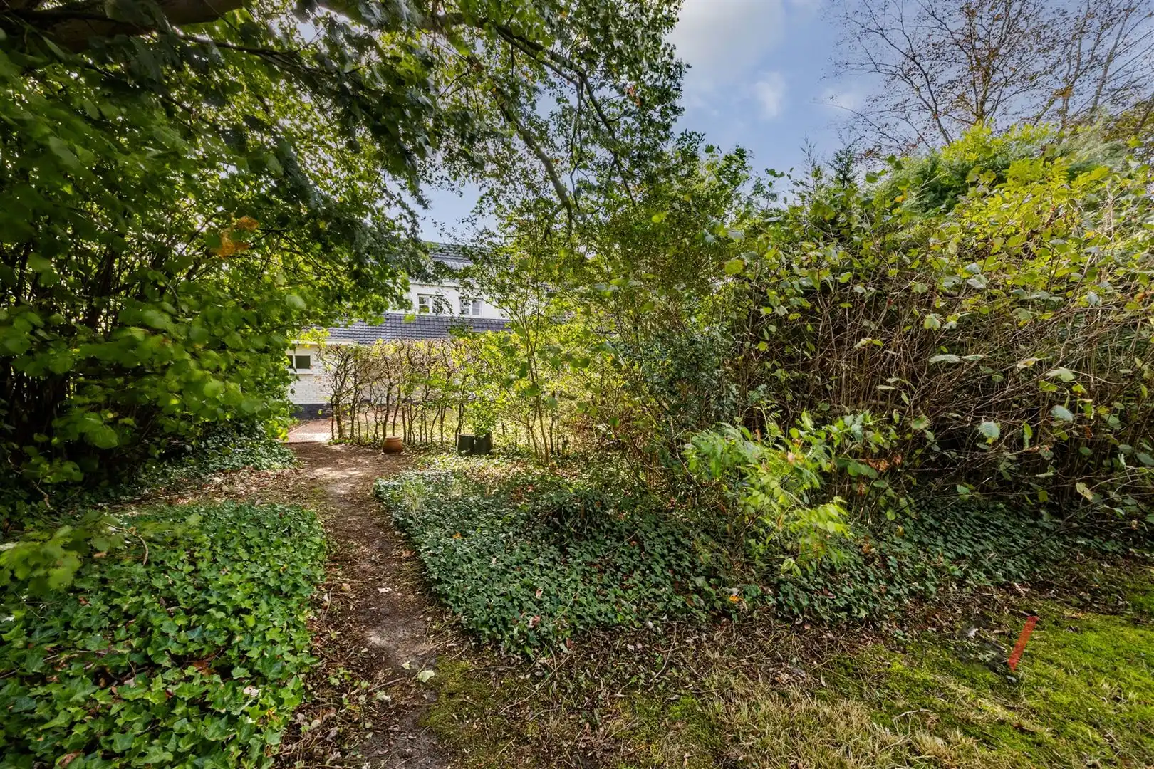 Huis foto 21