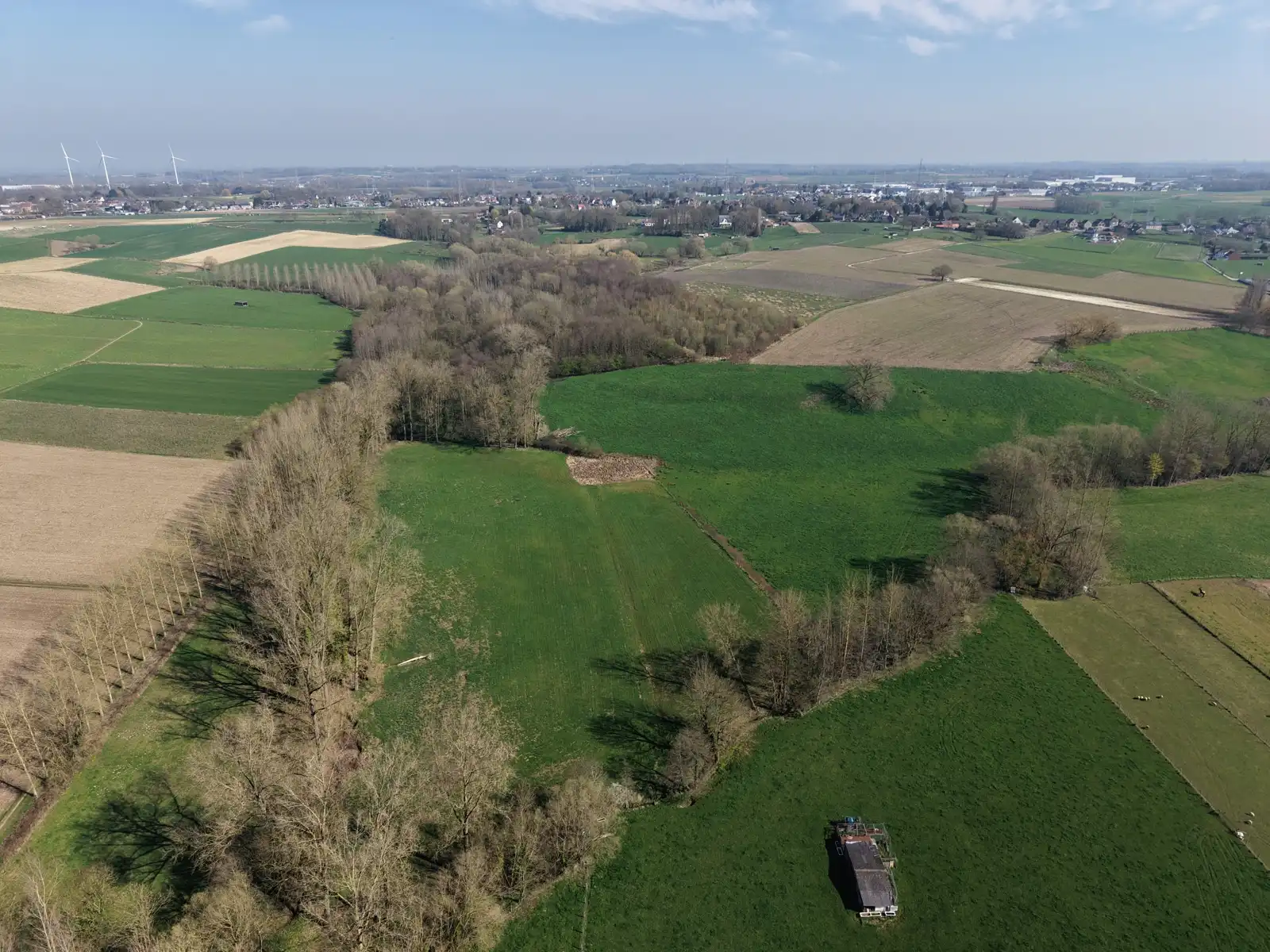 Goed gelegen landbouwgrond van 2,3 hectare  foto 4