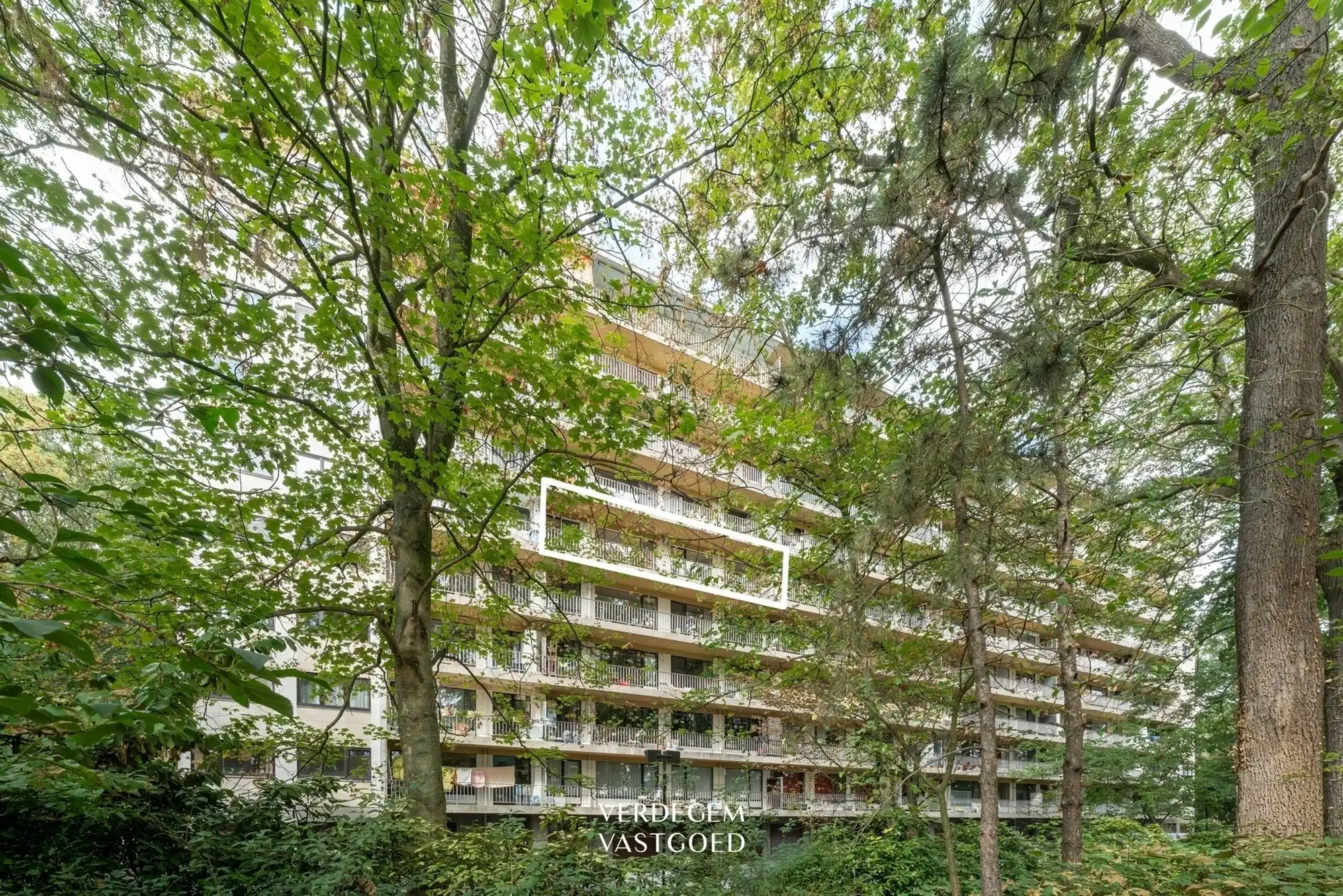 Wonen in de bomen: gezellig en instapklaar 2-slaapkamerappartement met terras foto 12