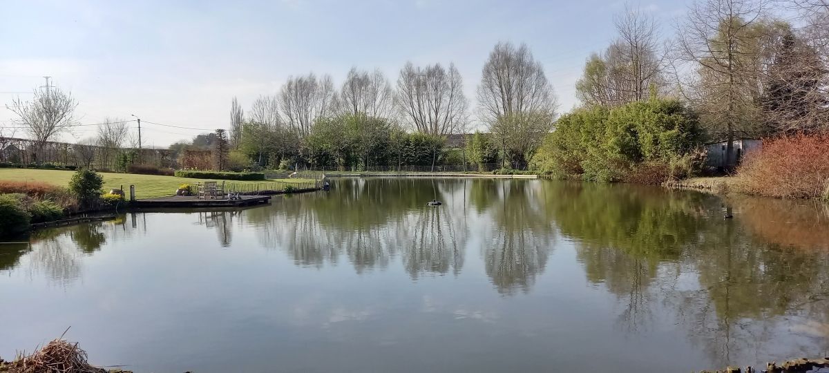 Prachtige hoeve te koop te Bavikhove foto 7