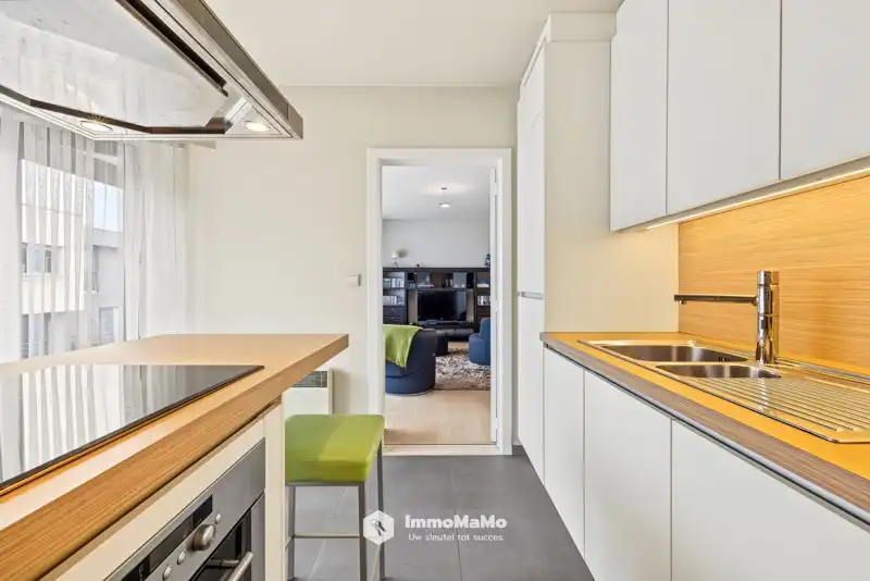 RUIM 2 SLAAPKAMER APPARTEMENT TE KOOP IN WACHTEBEKE foto 7