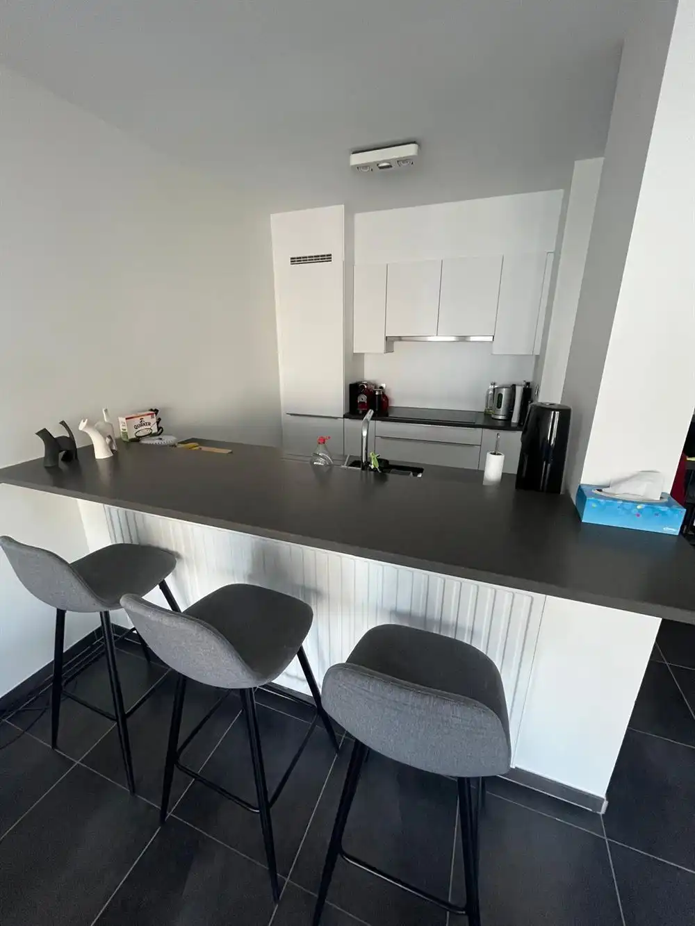 2-slpkr appartement met terras + P  | Antwerpen-Centrum  foto 8