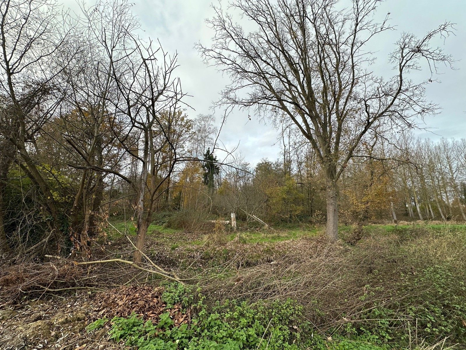 Grond te koop Poverstraat achter 15 - 3150 Haacht