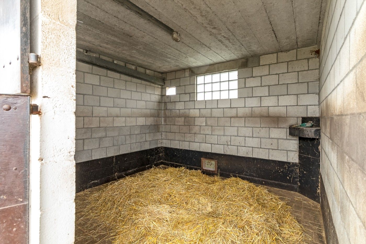 Mooi stuk weiland met 4 paardenstallen en rijpiste van ruim 1,5 hectare te koop in Hoevenen foto 7
