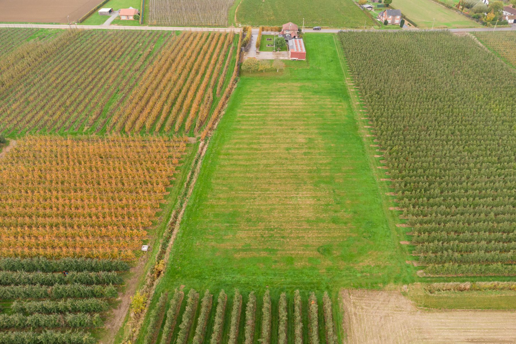 Huis te koop foto 44