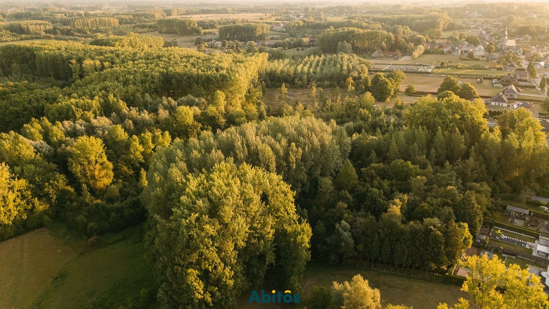 Bosgrond van 11.800 m² foto 10