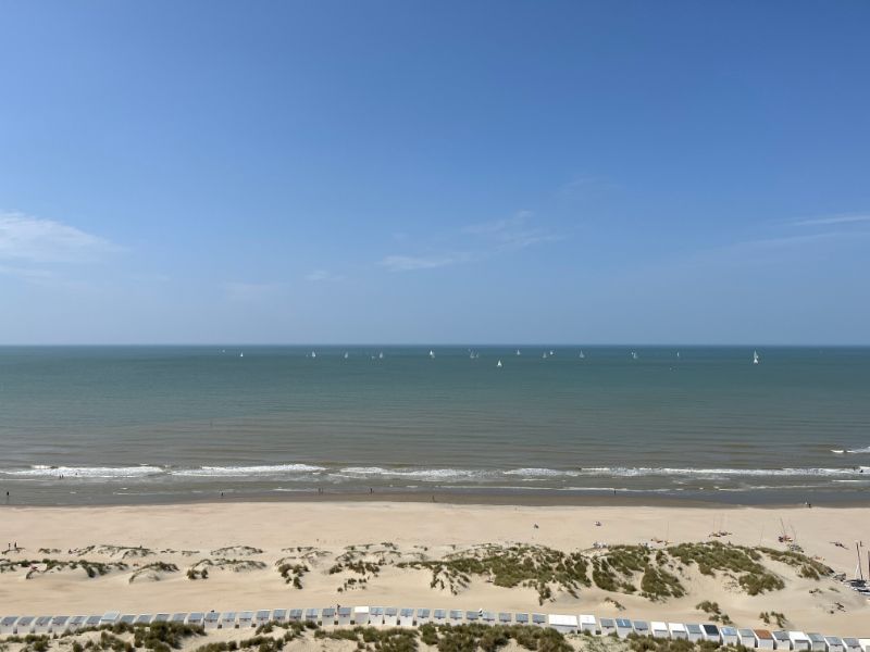 Frontaal zeezicht en een zonnig terras ! foto 10