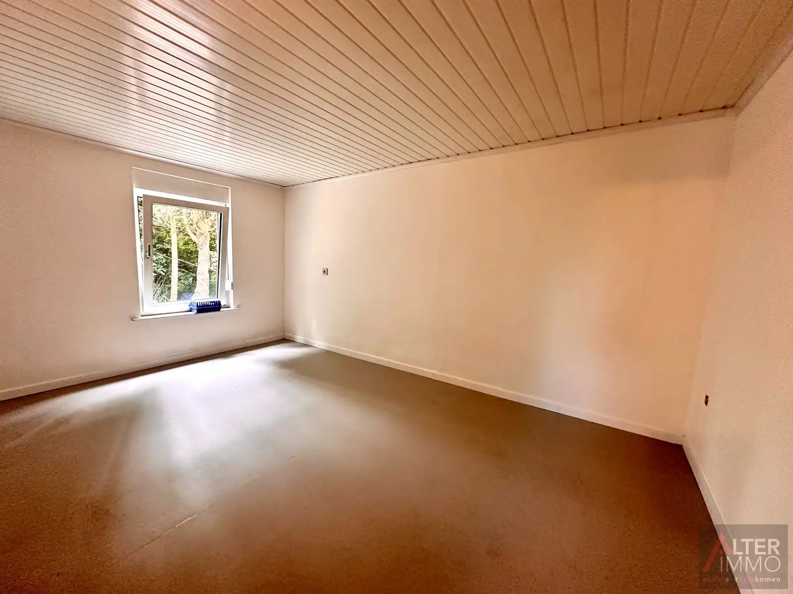 Gelijkvloerse woning (1970) met 2 slaapkamers, kelder en zolder (mogelijks in te richten) op perceel van 10a 30ca. foto 12