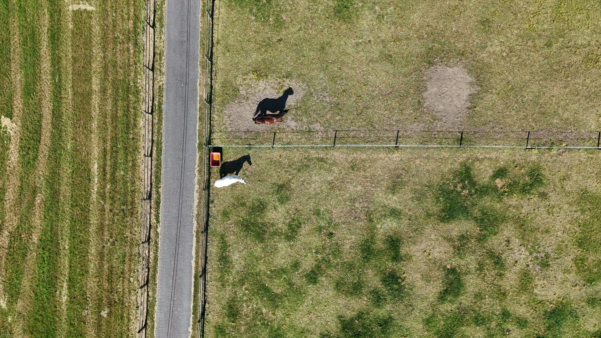 Unieke eigendom voor paardenliefhebbers te Knokke-Heist foto 15