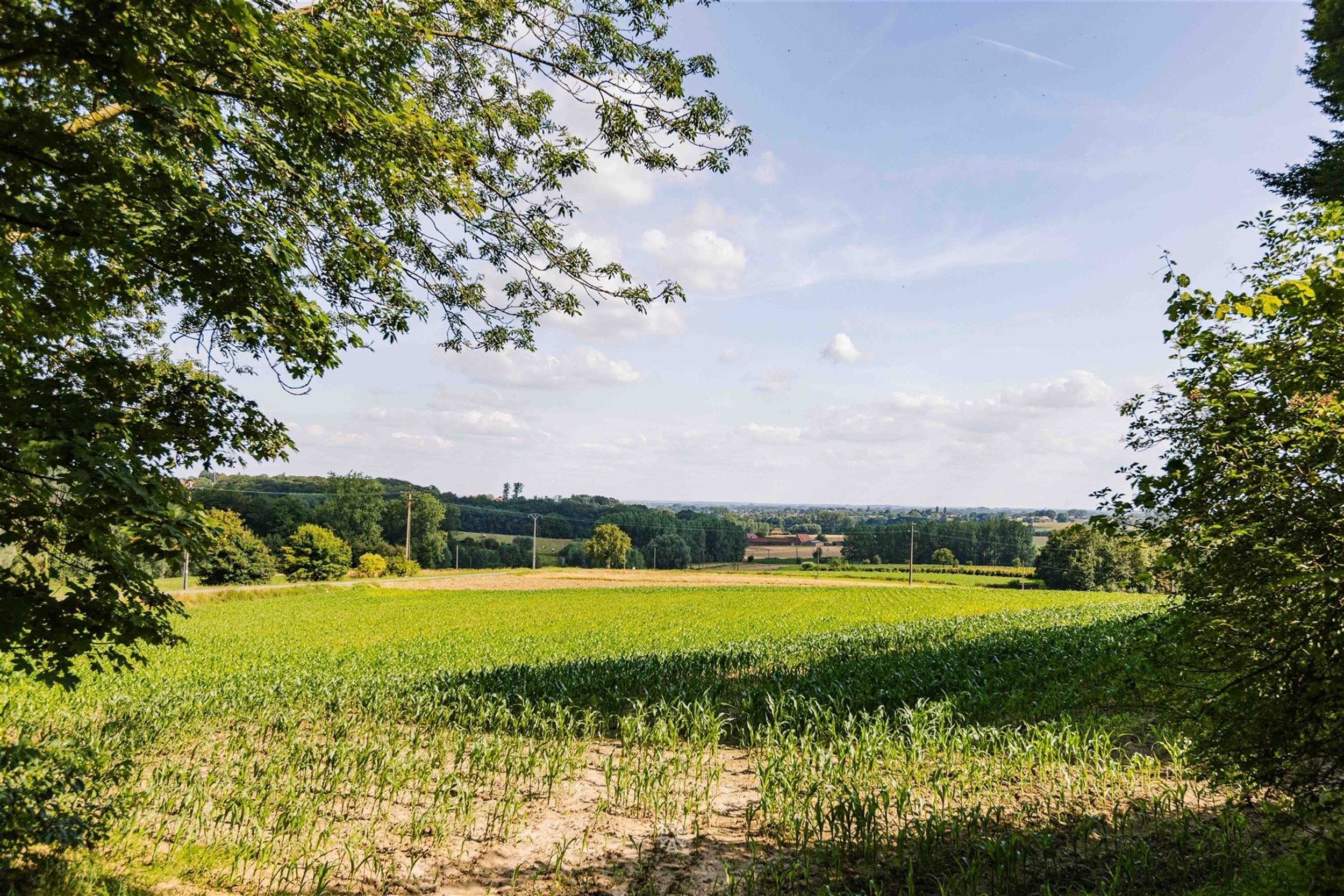 Uniek gelegen landgoed met gite midden de bossen foto 30