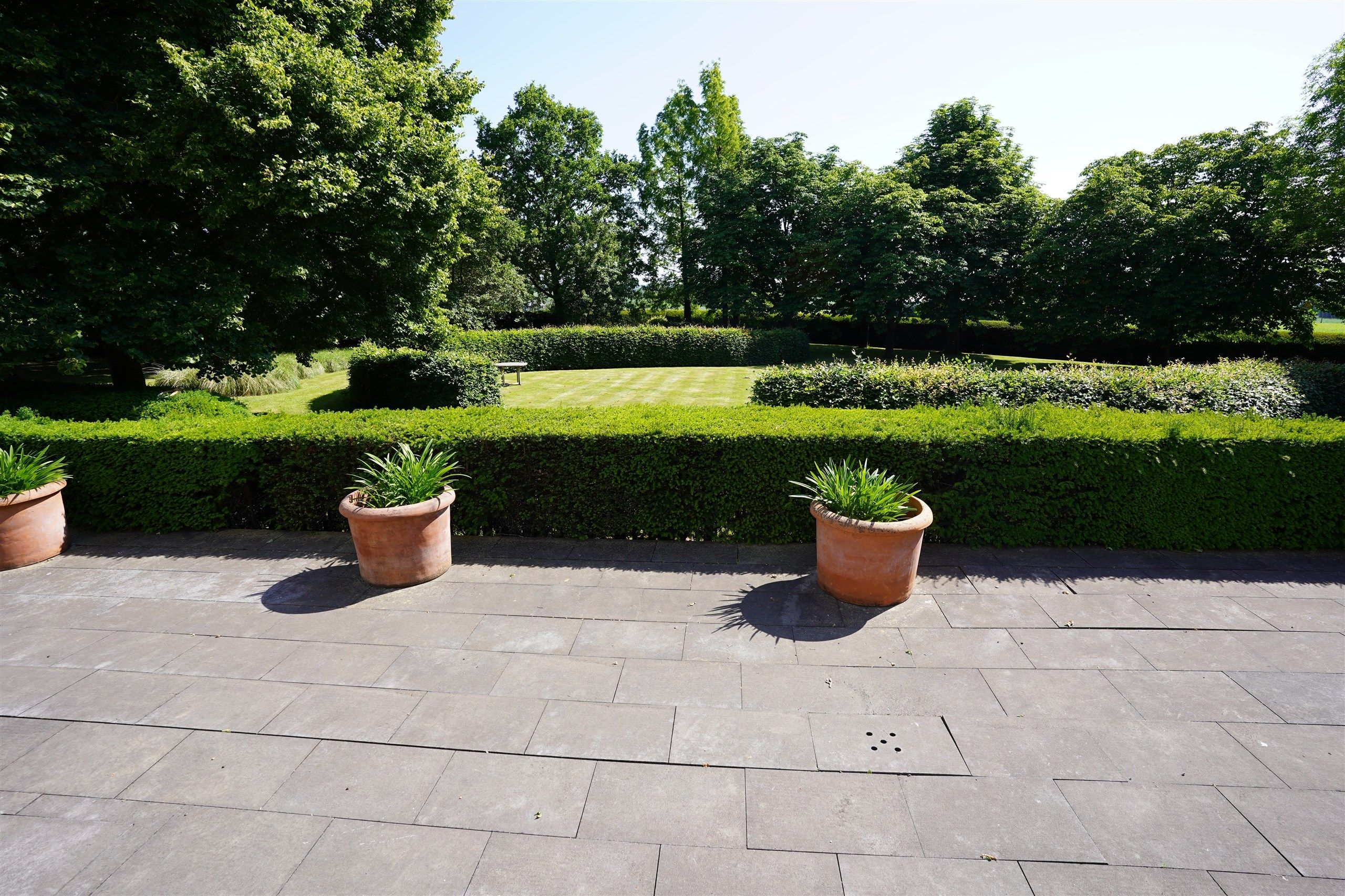 Bellegem bos: uitzonderlijk, waardevol landgoed! foto 9