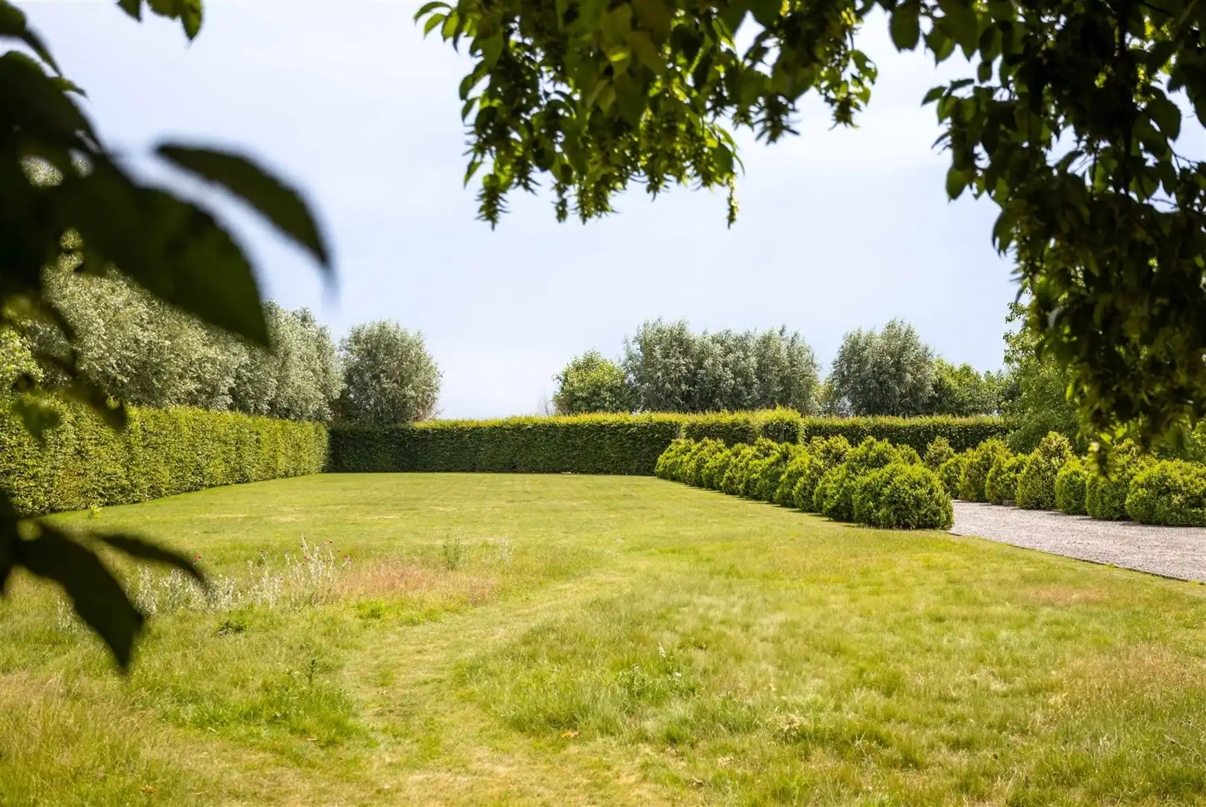 Riante eigendom met ontwikkelingsmogelijkheden foto 8