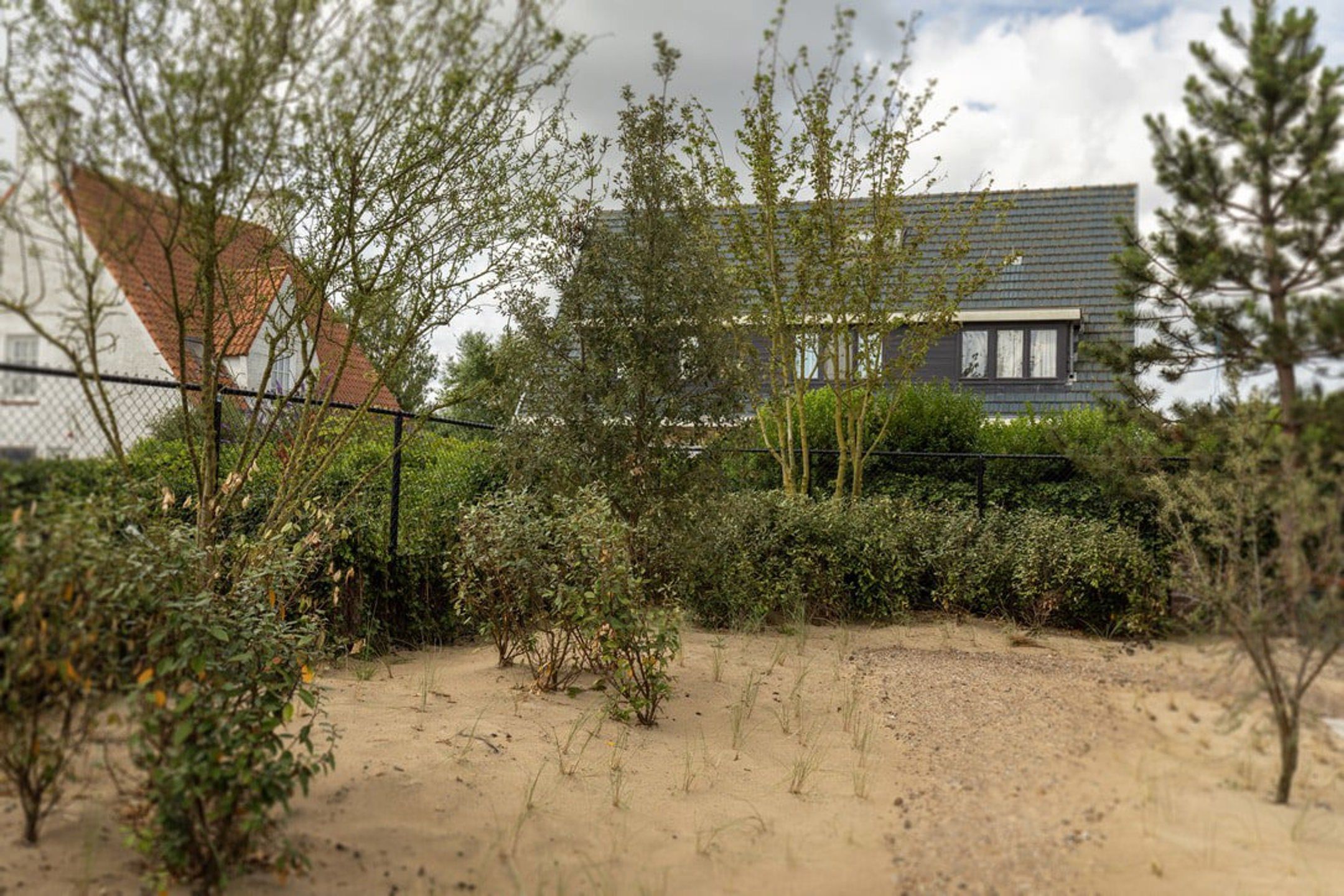 Exclusief nieuwbouwproject "BEACH HOUSE", in Zeebrugge... foto 19