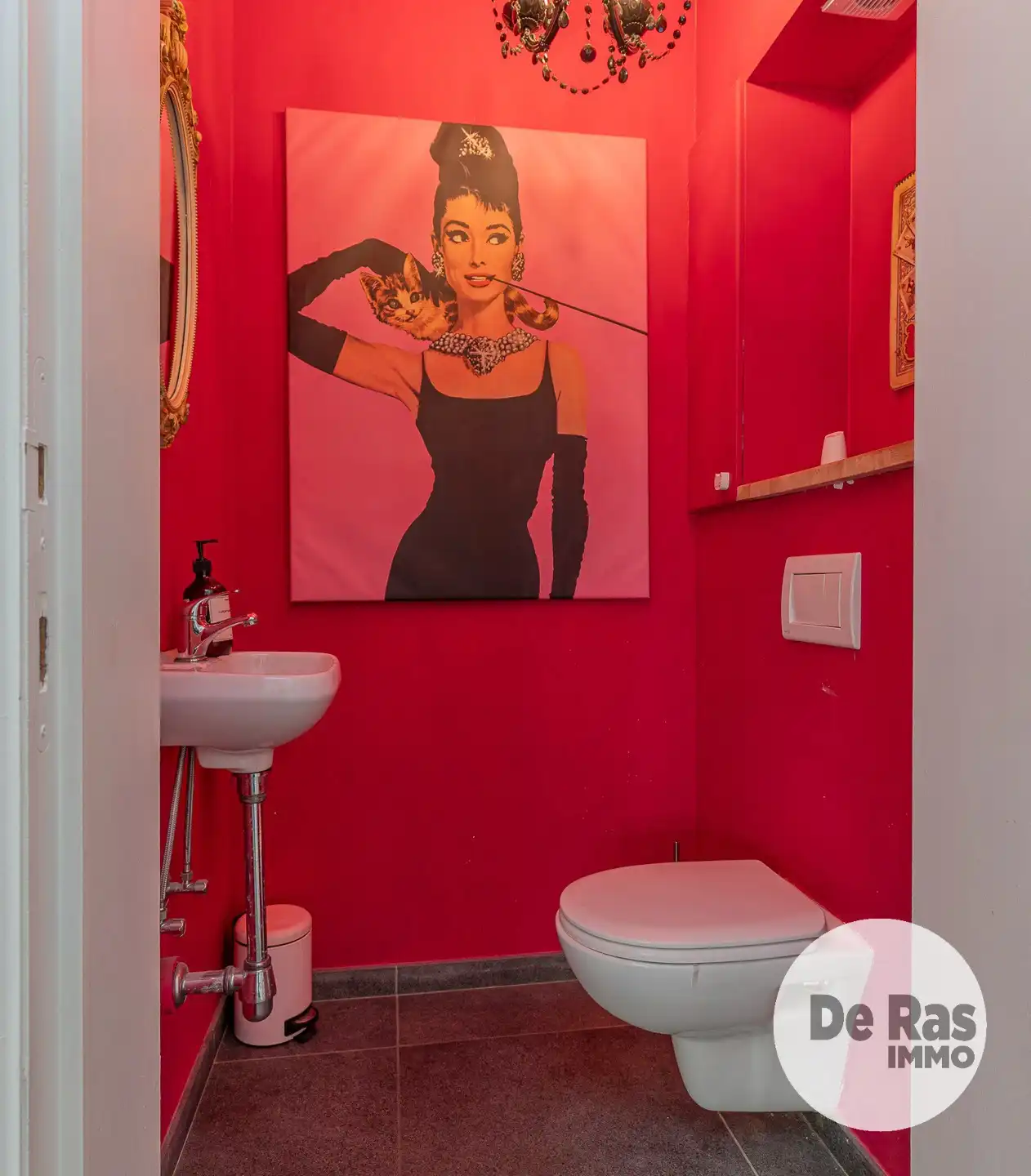 AALST- INSTAPKLARE WONING OP HEEL RUSTIGE LOCATIE foto 25
